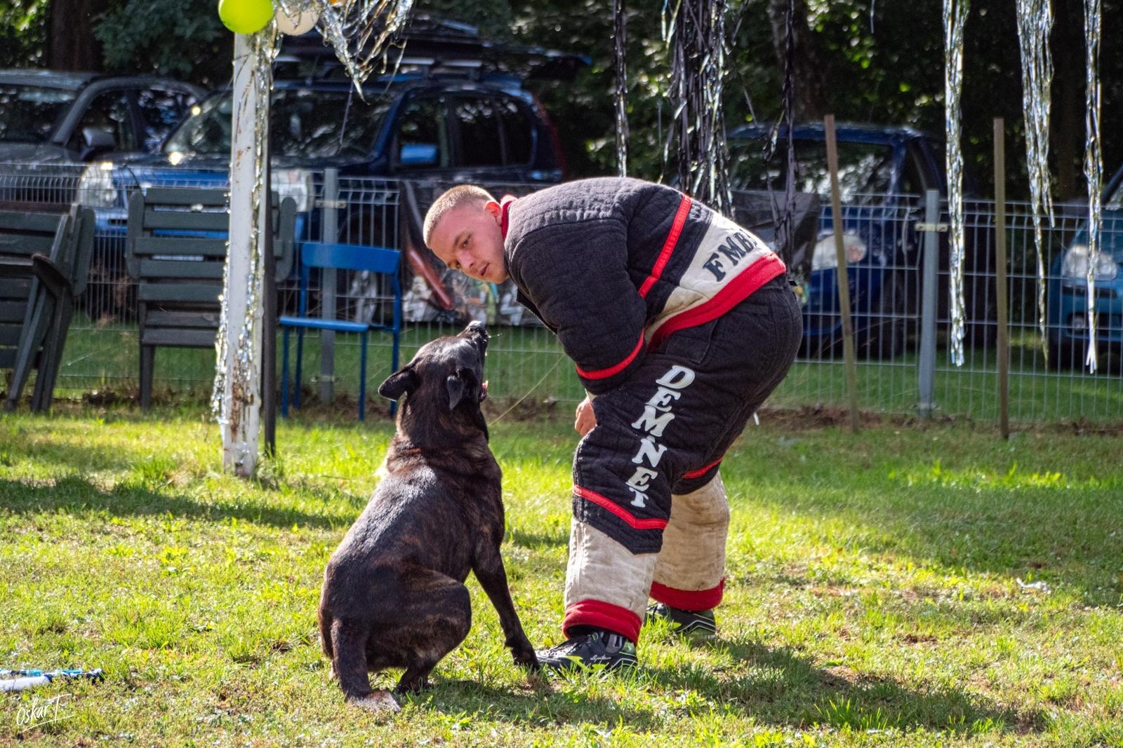Zdjęcie w galerii na portalu naszraciborz.pl: Międzynarodowe emocje i psy wysokiej klasy. Pierwszy dzień zawodów Mondioringu w Babicach za nami [FOTO] wiadomości z regionu
