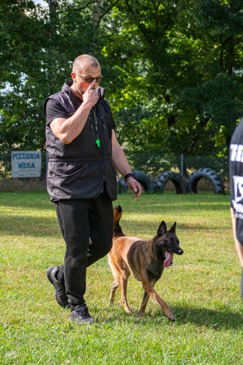Zdjęcie w galerii na portalu naszraciborz.pl: Międzynarodowe emocje i psy wysokiej klasy. Pierwszy dzień zawodów Mondioringu w Babicach za nami [FOTO] wiadomości z regionu