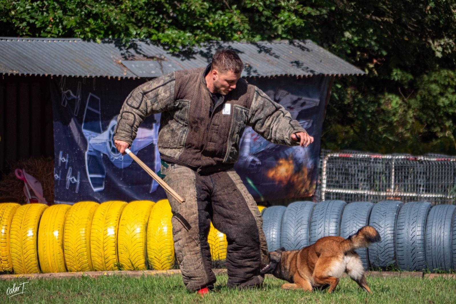 Zdjęcie w galerii na portalu naszraciborz.pl: Międzynarodowe emocje i psy wysokiej klasy. Pierwszy dzień zawodów Mondioringu w Babicach za nami [FOTO] wiadomości z regionu