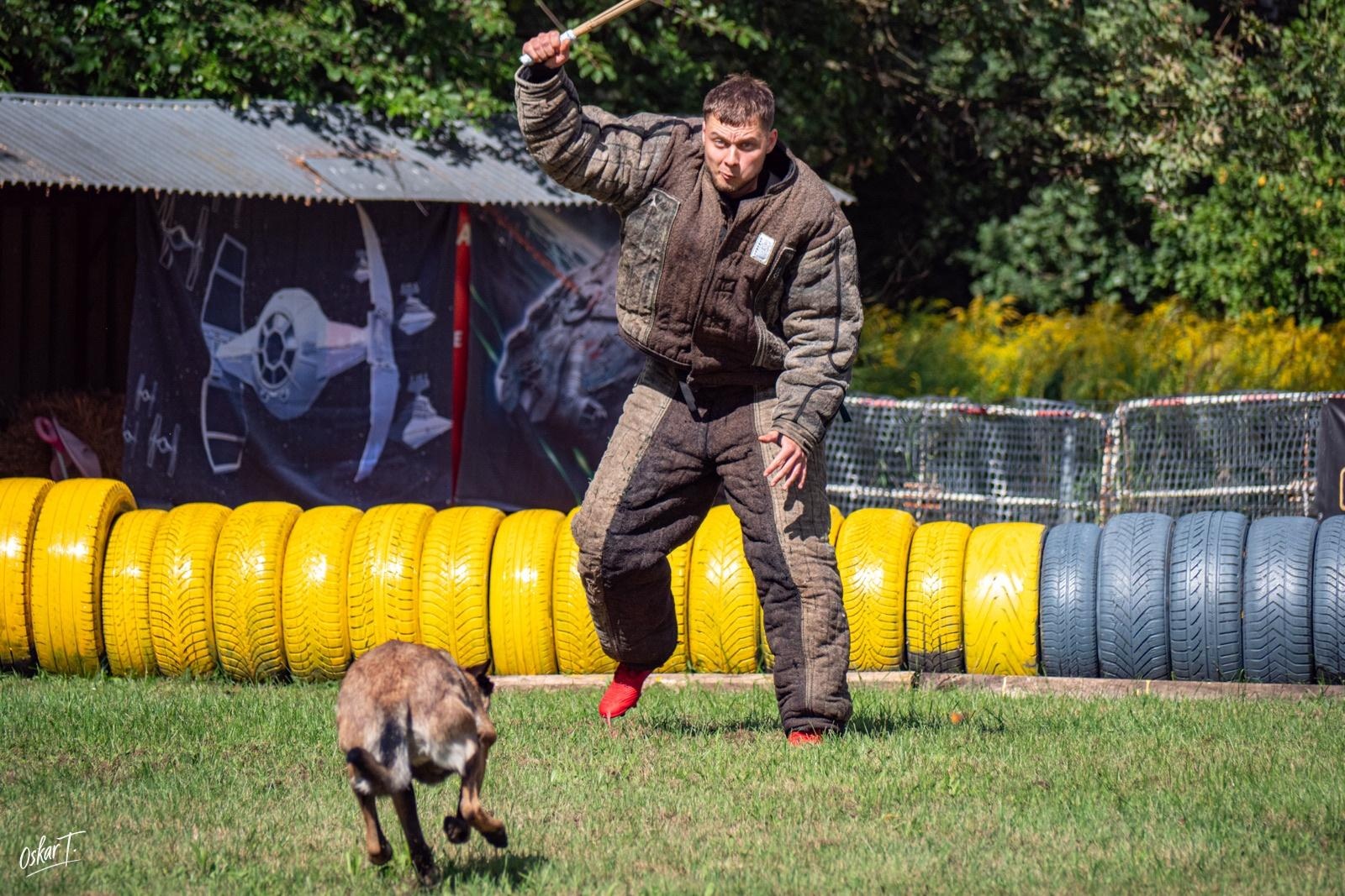 Zdjęcie w galerii na portalu naszraciborz.pl: Międzynarodowe emocje i psy wysokiej klasy. Pierwszy dzień zawodów Mondioringu w Babicach za nami [FOTO] wiadomości z regionu