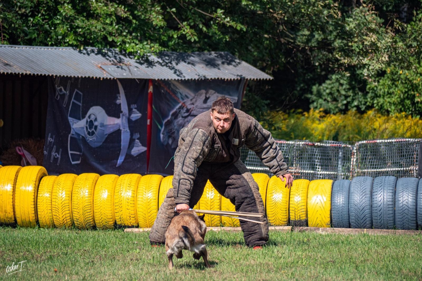 Zdjęcie w galerii na portalu naszraciborz.pl: Międzynarodowe emocje i psy wysokiej klasy. Pierwszy dzień zawodów Mondioringu w Babicach za nami [FOTO] wiadomości z regionu