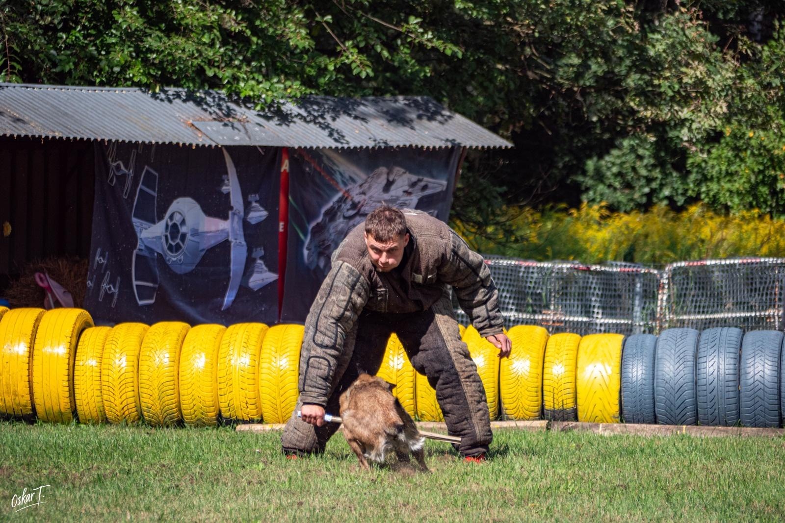Zdjęcie w galerii na portalu naszraciborz.pl: Międzynarodowe emocje i psy wysokiej klasy. Pierwszy dzień zawodów Mondioringu w Babicach za nami [FOTO] wiadomości z regionu