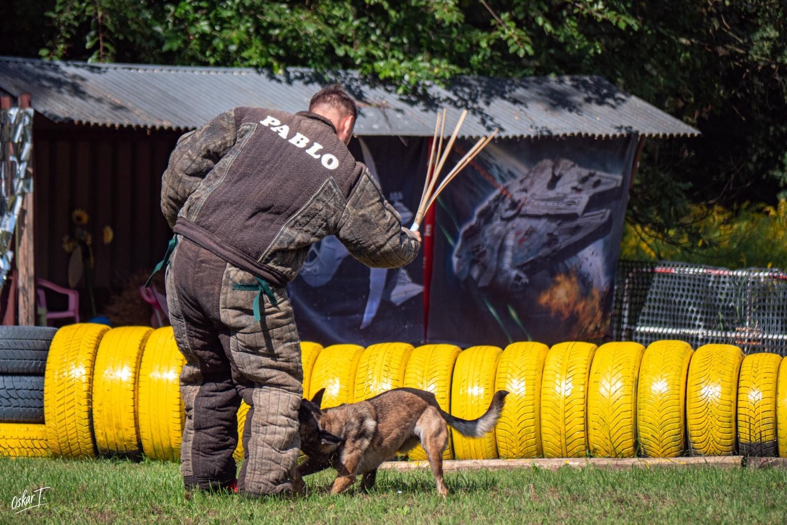 Zdjęcie w galerii na portalu naszraciborz.pl: Międzynarodowe emocje i psy wysokiej klasy. Pierwszy dzień zawodów Mondioringu w Babicach za nami [FOTO] wiadomości z regionu