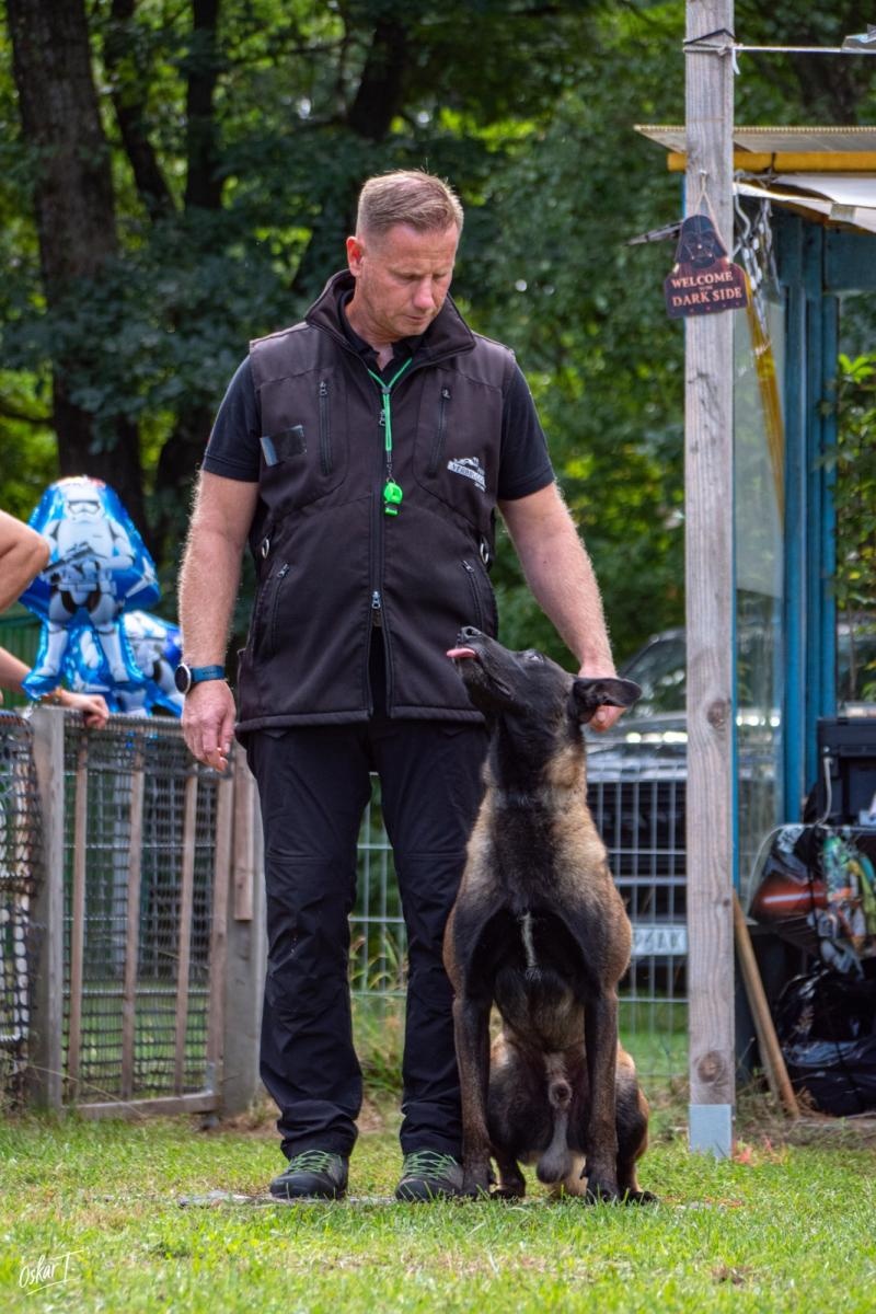 Zdjęcie w galerii na portalu naszraciborz.pl: Międzynarodowe emocje i psy wysokiej klasy. Pierwszy dzień zawodów Mondioringu w Babicach za nami [FOTO] wiadomości z regionu