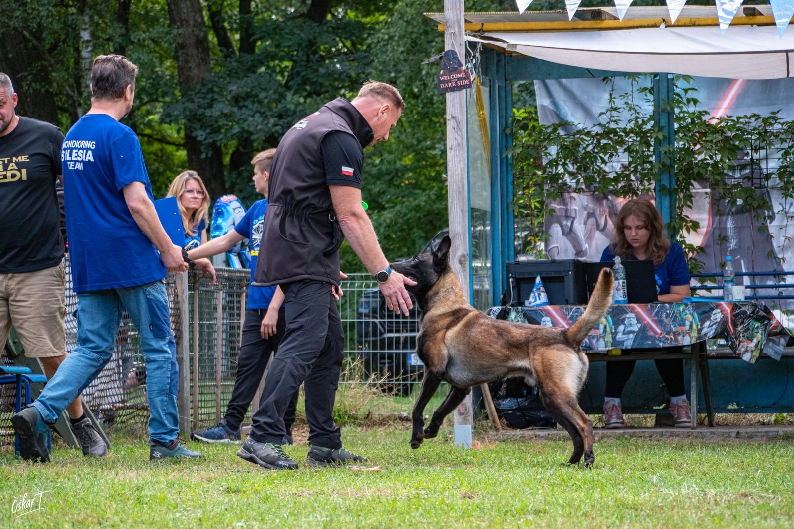 Zdjęcie w galerii na portalu naszraciborz.pl: Międzynarodowe emocje i psy wysokiej klasy. Pierwszy dzień zawodów Mondioringu w Babicach za nami [FOTO] wiadomości z regionu