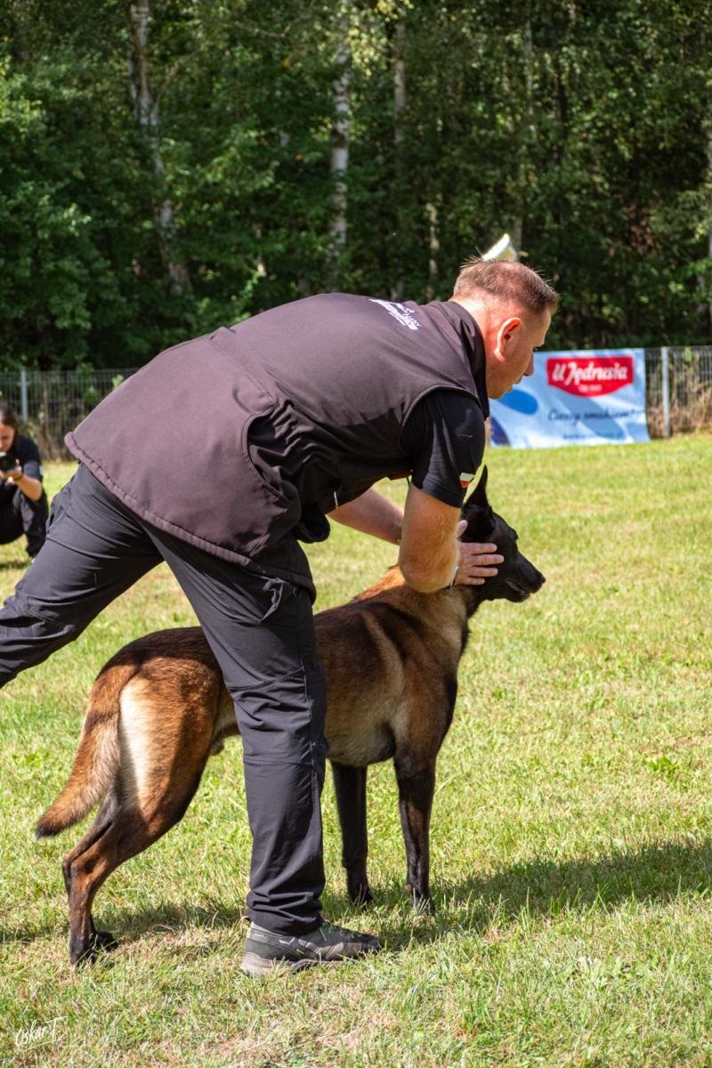 Zdjęcie w galerii na portalu naszraciborz.pl: Międzynarodowe emocje i psy wysokiej klasy. Pierwszy dzień zawodów Mondioringu w Babicach za nami [FOTO] wiadomości z regionu
