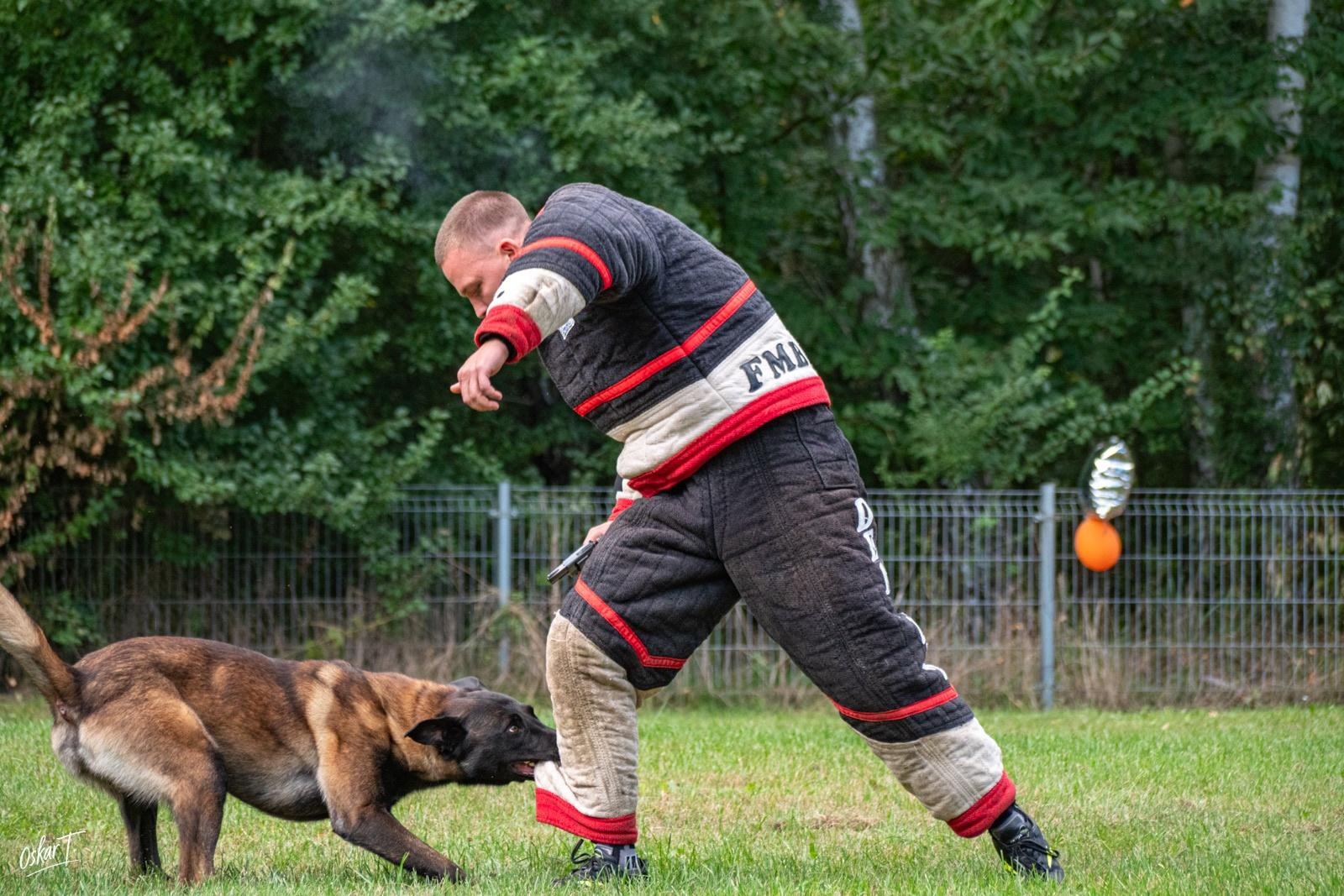 Zdjęcie w galerii na portalu naszraciborz.pl: Międzynarodowe emocje i psy wysokiej klasy. Pierwszy dzień zawodów Mondioringu w Babicach za nami [FOTO] wiadomości z regionu