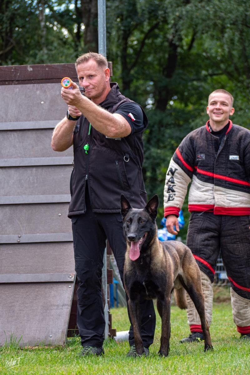 Zdjęcie w galerii na portalu naszraciborz.pl: Międzynarodowe emocje i psy wysokiej klasy. Pierwszy dzień zawodów Mondioringu w Babicach za nami [FOTO] wiadomości z regionu