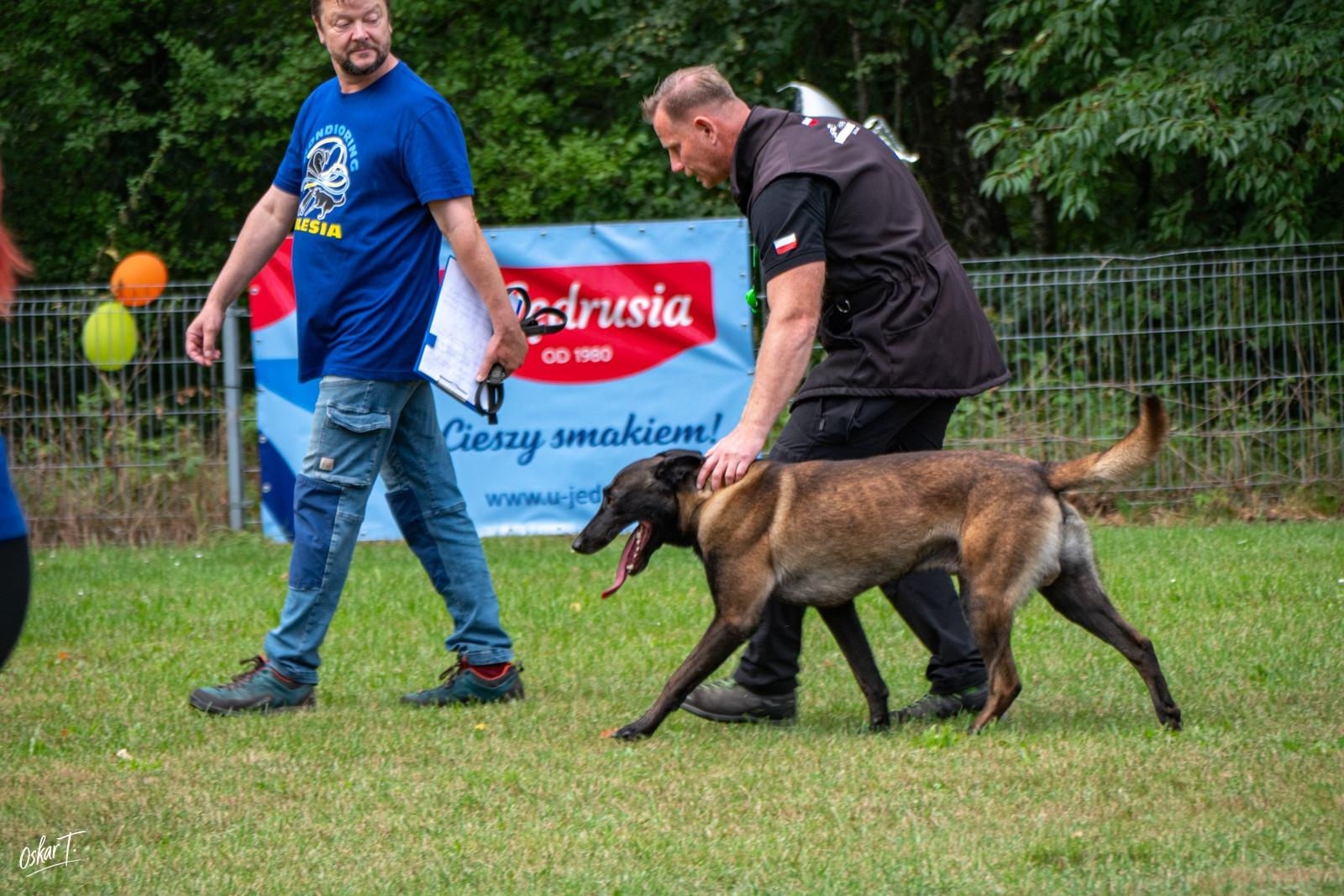 Zdjęcie w galerii na portalu naszraciborz.pl: Międzynarodowe emocje i psy wysokiej klasy. Pierwszy dzień zawodów Mondioringu w Babicach za nami [FOTO] wiadomości z regionu