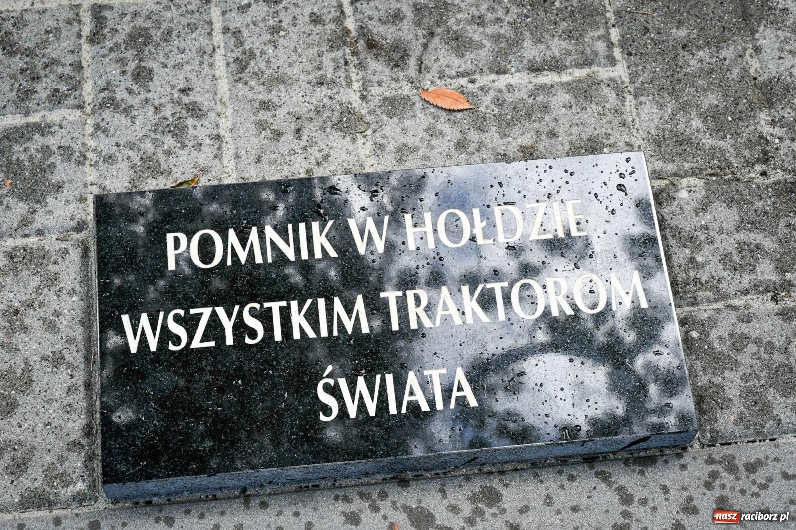 Zdjęcie w galerii na portalu naszraciborz.pl: Krowiarki gospodarzem dożynek gminy Pietrowice Wielkie. Korowód i pomnik Ciapka wiadomości z regionu