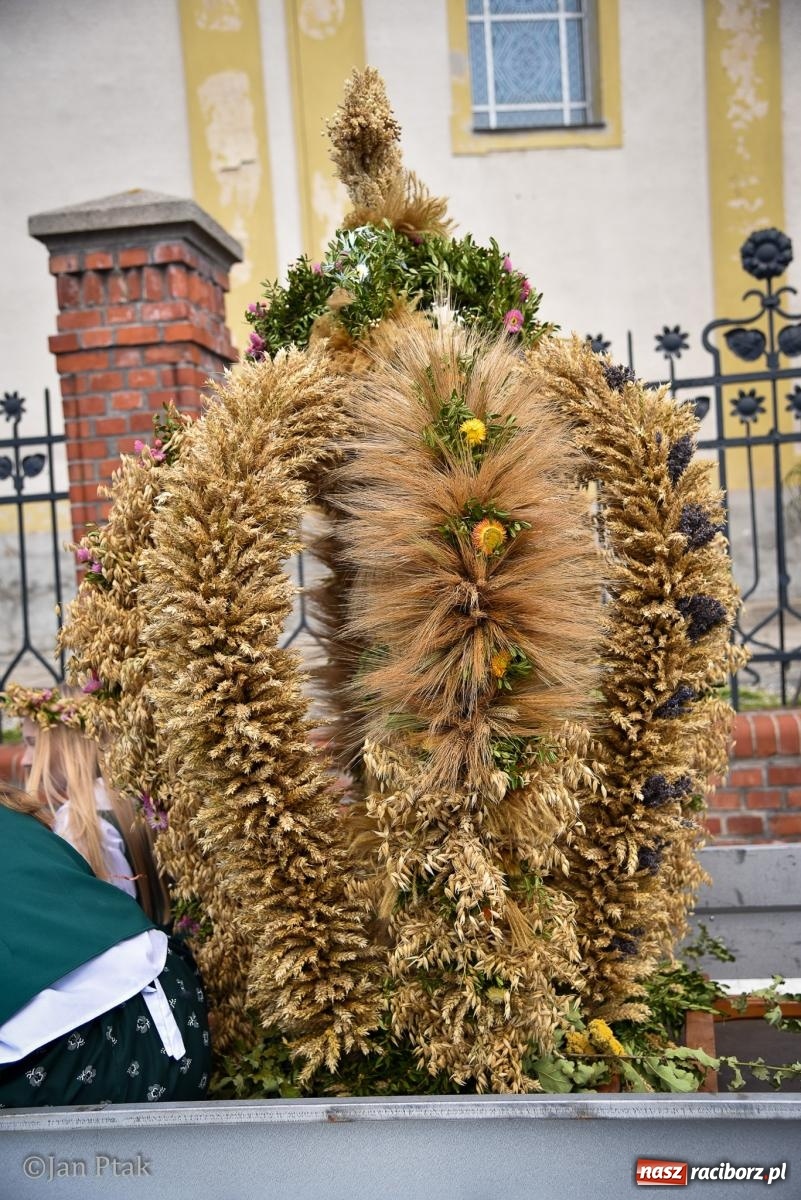 Zdjęcie w galerii na portalu naszraciborz.pl: Dożynki gminy Krzanowice w Wojnowicach. Za nami uroczysty korowód [FOTO i WIDEO] wiadomości z regionu
