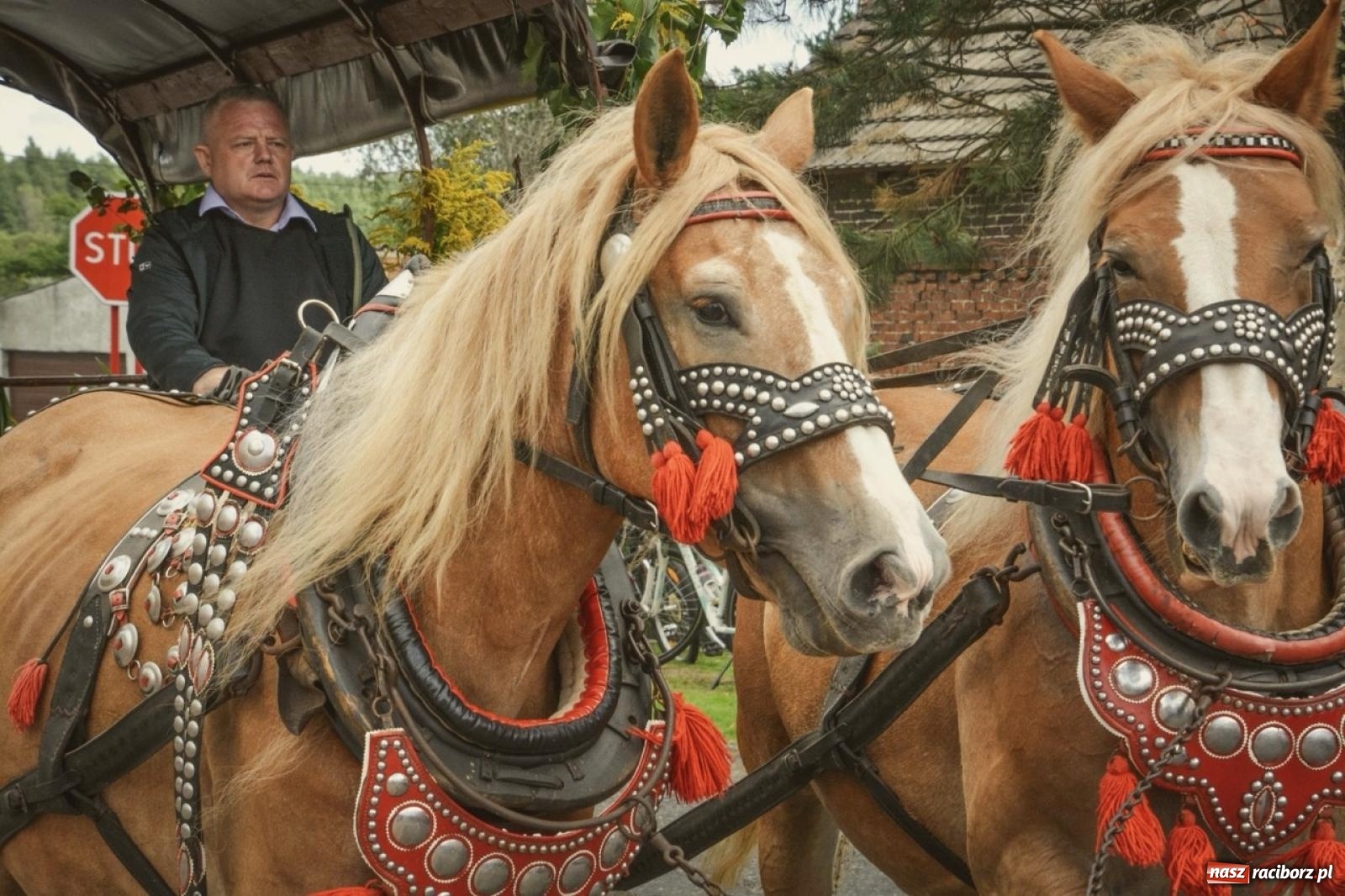 Zdjęcie w galerii na portalu naszraciborz.pl: Dożynki Gminne 2026 w Rudzie Kozielskiej. Mieszkańcy podziękowali za tegoroczne plony [FOTO i WIDEO] wiadomości z regionu