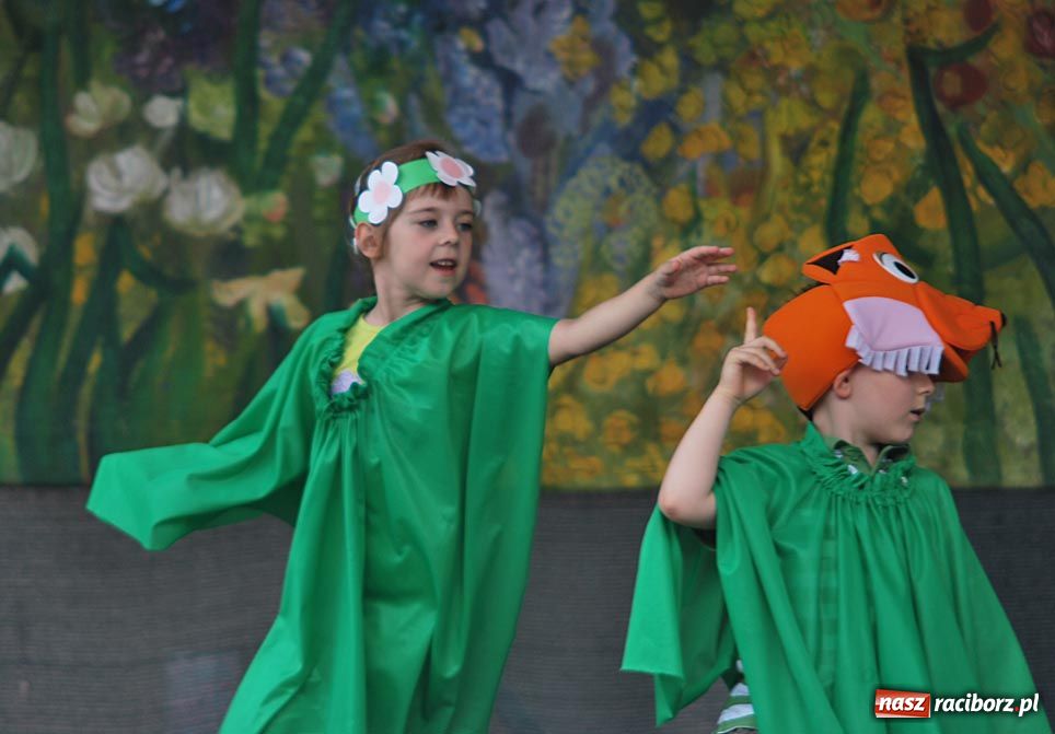 Zdjęcie w galerii na portalu naszraciborz.pl: Festyn ekologiczny po raz 11 wiadomości z regionu