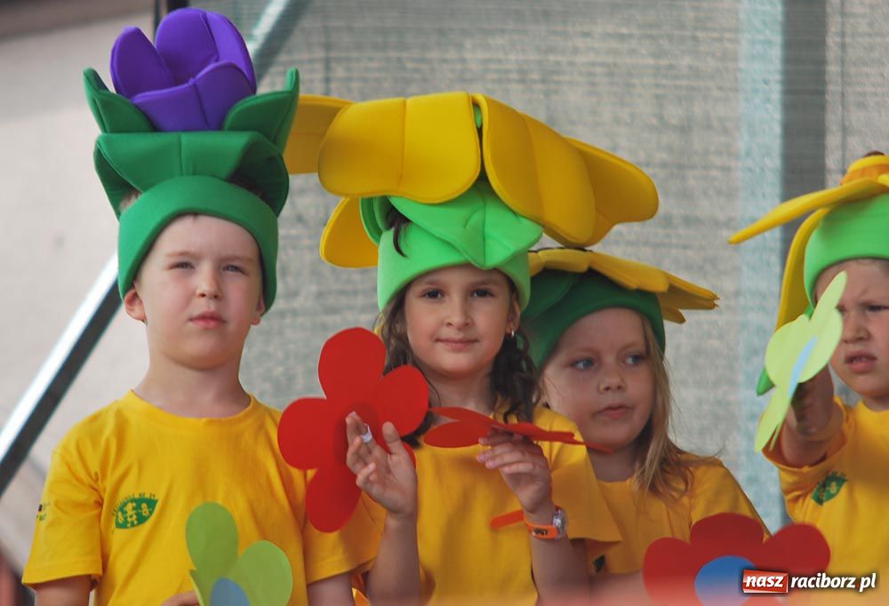 Zdjęcie w galerii na portalu naszraciborz.pl: Festyn ekologiczny po raz 11 wiadomości z regionu