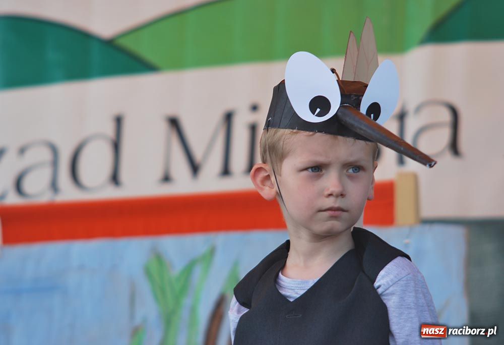 Zdjęcie w galerii na portalu naszraciborz.pl: Festyn ekologiczny po raz 11 wiadomości z regionu