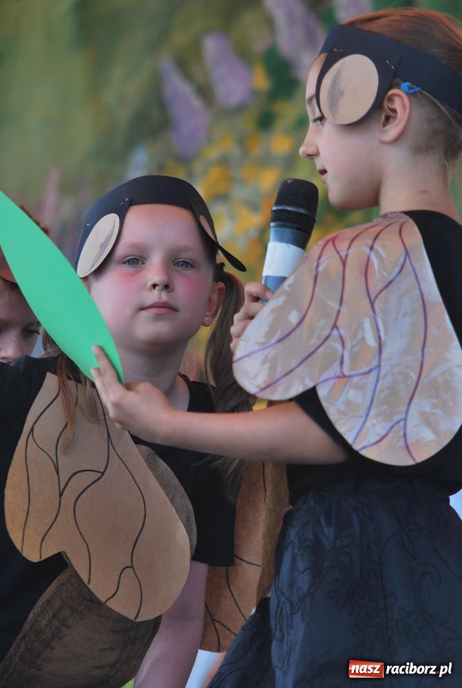 Zdjęcie w galerii na portalu naszraciborz.pl: Festyn ekologiczny po raz 11 wiadomości z regionu