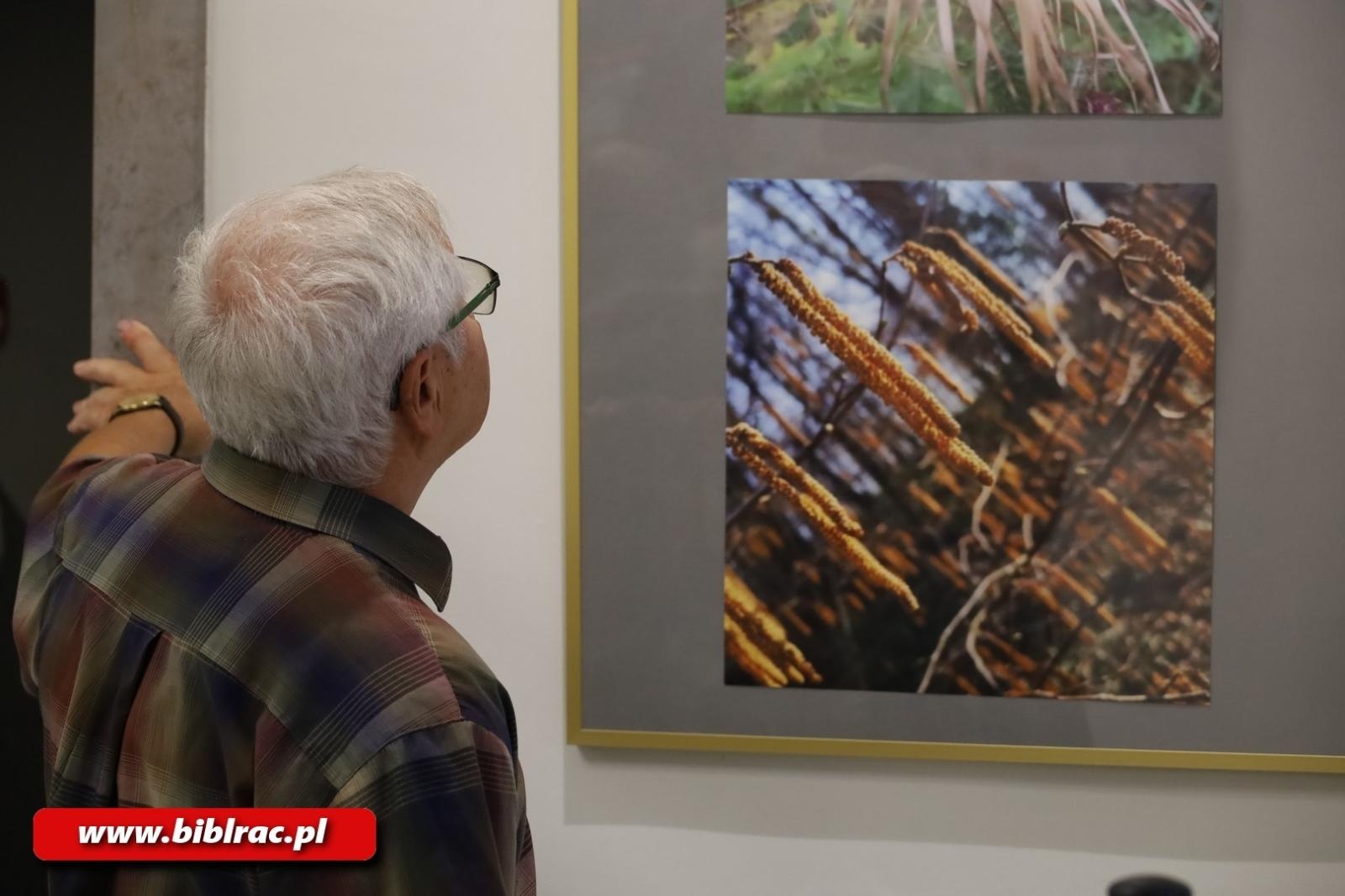 Zdjęcie w galerii na portalu naszraciborz.pl: Natura jest kobietą – nowa wystawa w bibliotecznej Galerii Gawra wiadomości z regionu