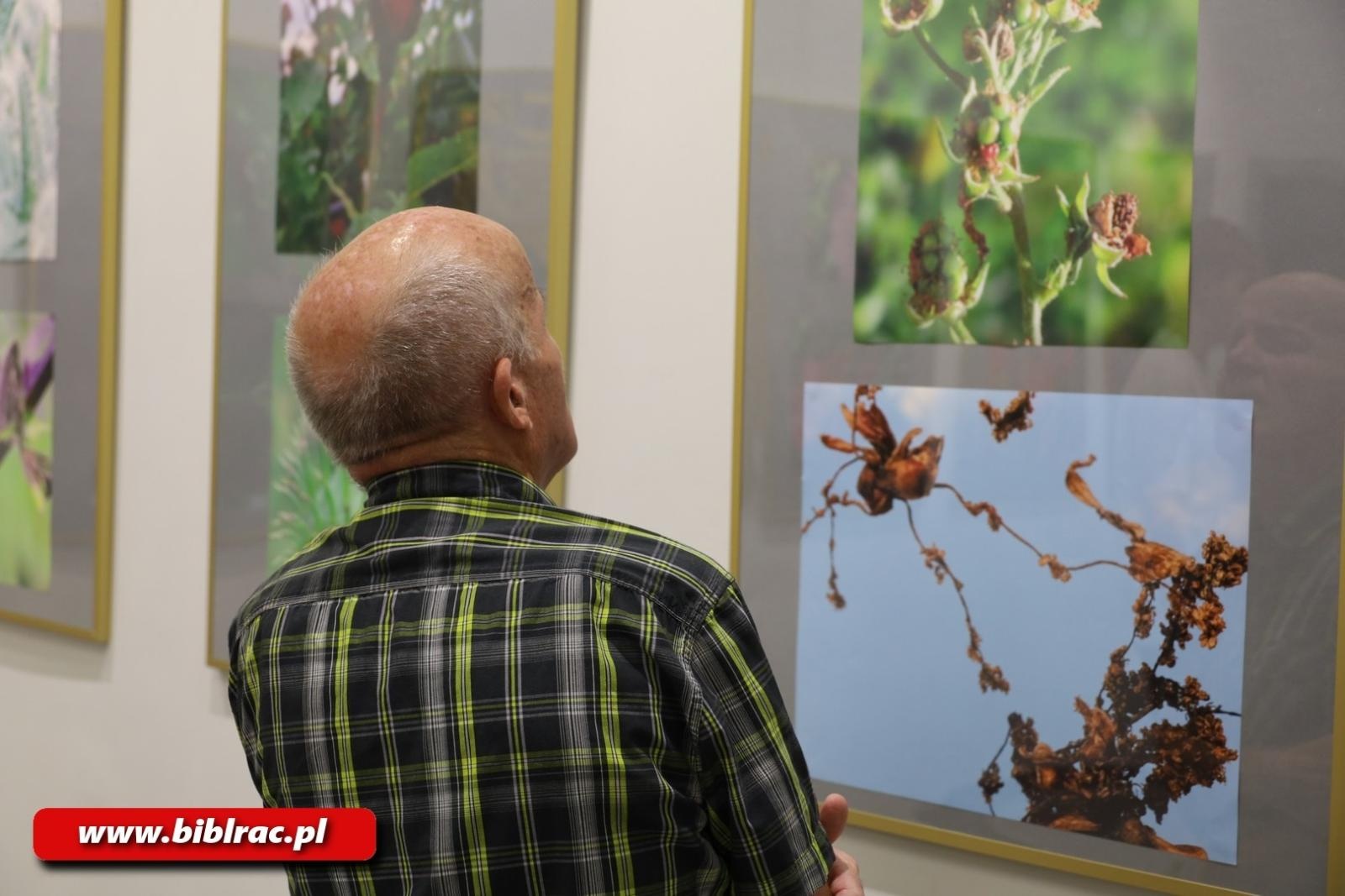 Zdjęcie w galerii na portalu naszraciborz.pl: Natura jest kobietą – nowa wystawa w bibliotecznej Galerii Gawra wiadomości z regionu