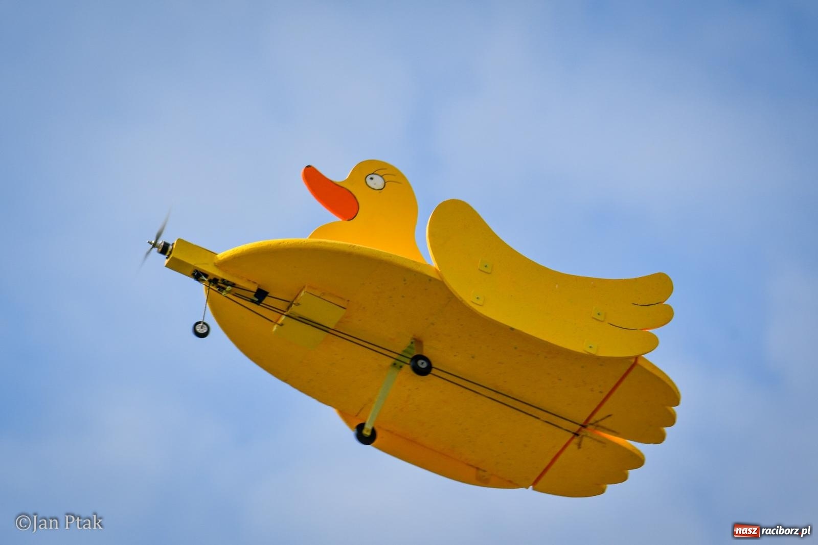 Zdjęcie w galerii na portalu naszraciborz.pl: Trwa RC AirShow. Nocne loty na finał soboty, w niedzielę wielka bitwa wiadomości z regionu