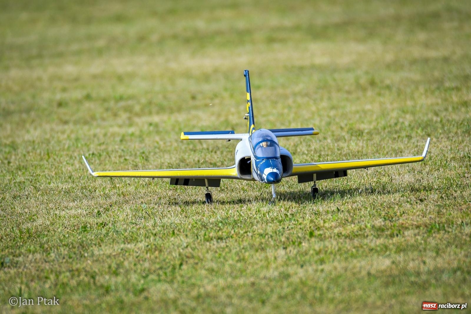 Zdjęcie w galerii na portalu naszraciborz.pl: Trwa RC AirShow. Nocne loty na finał soboty, w niedzielę wielka bitwa wiadomości z regionu