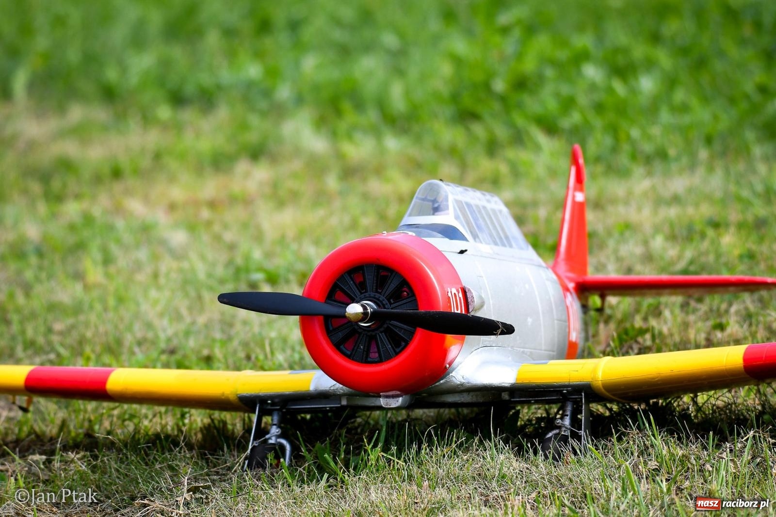 Zdjęcie w galerii na portalu naszraciborz.pl: Trwa RC AirShow. Nocne loty na finał soboty, w niedzielę wielka bitwa wiadomości z regionu