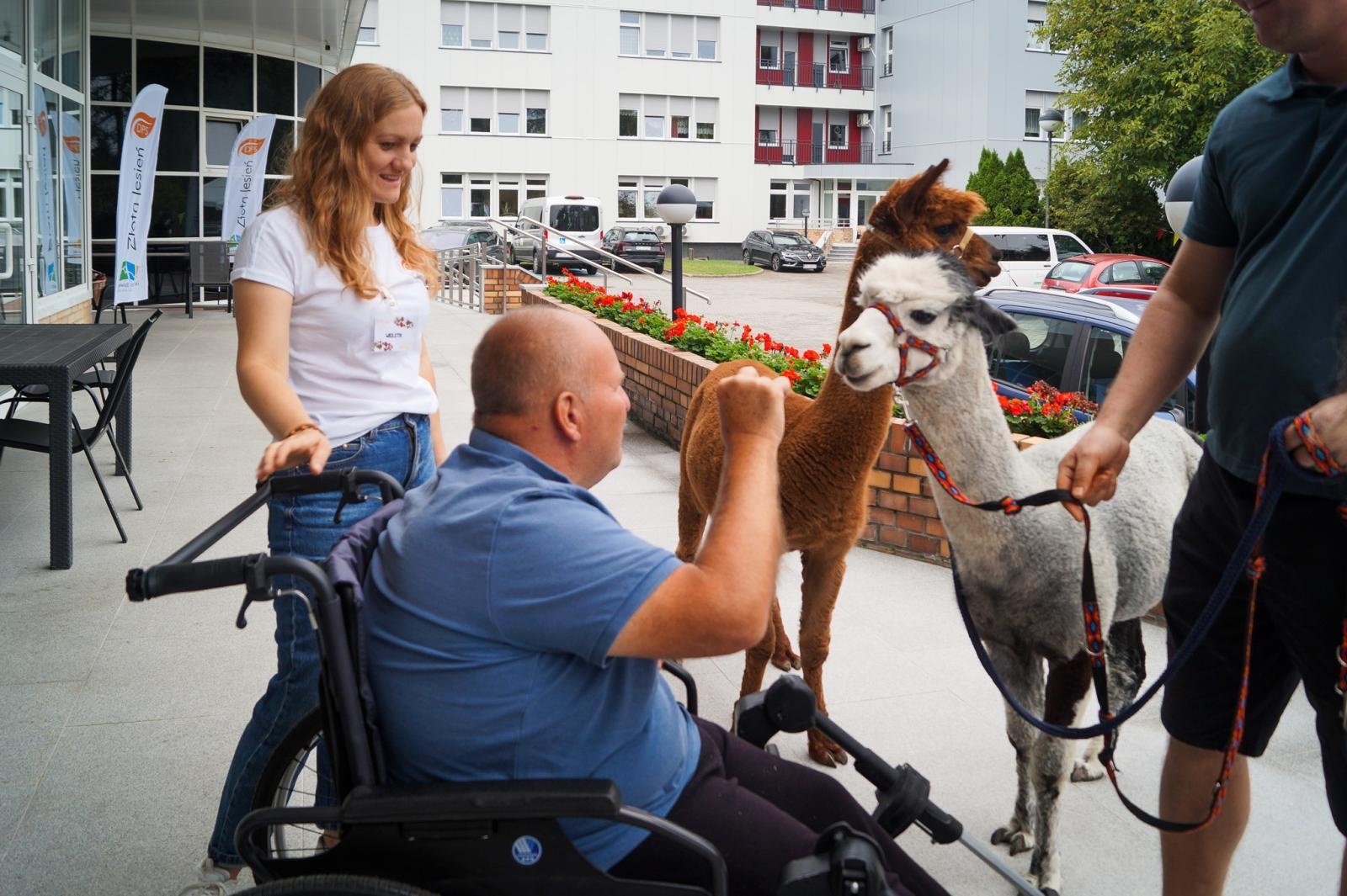Zdjęcie w galerii na portalu naszraciborz.pl: Piknik Integracyjny w DPS Złota Jesień w Raciborzu [FOTO] wiadomości z regionu