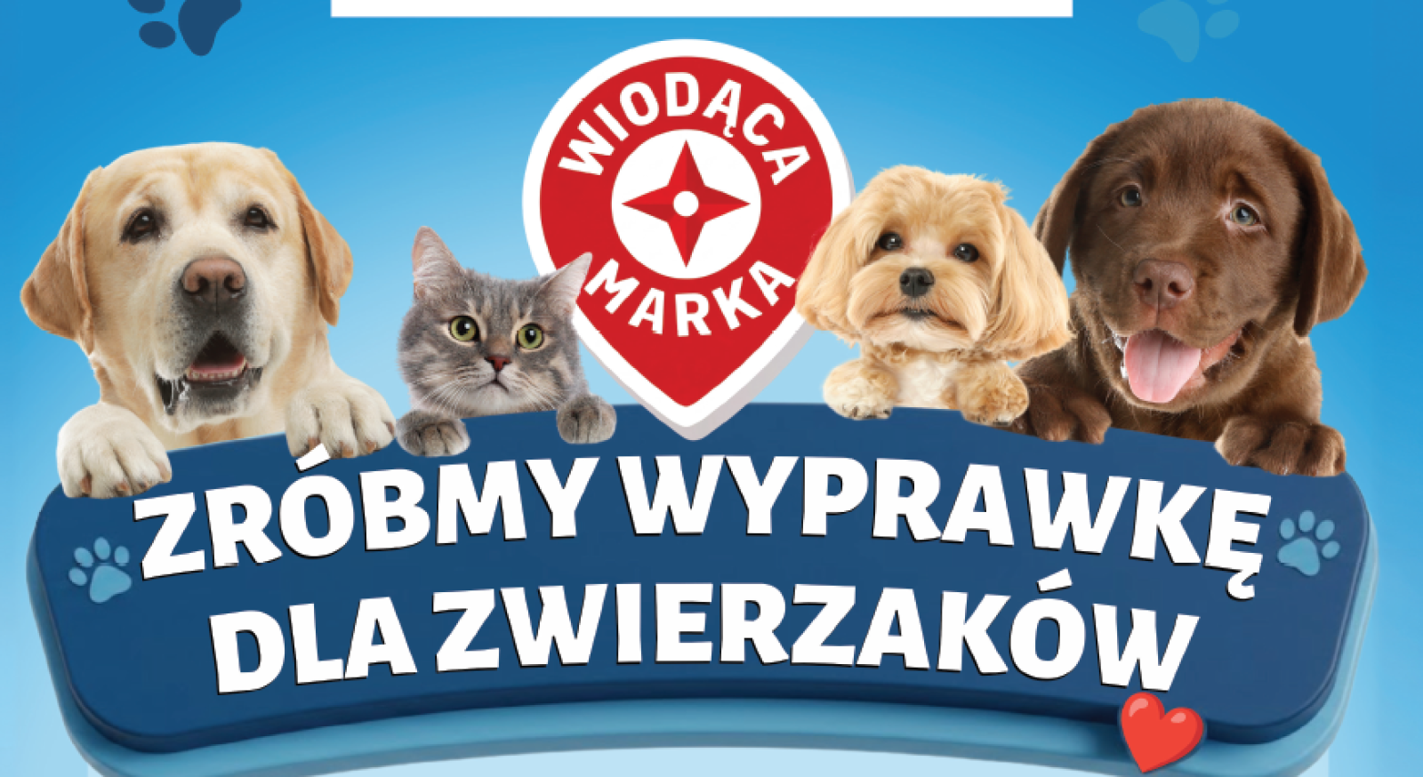 Zdjęcie w galerii na portalu naszraciborz.pl: Mieszkańcy Raciborza mogą pomóc zwierzętom wiadomości z regionu
