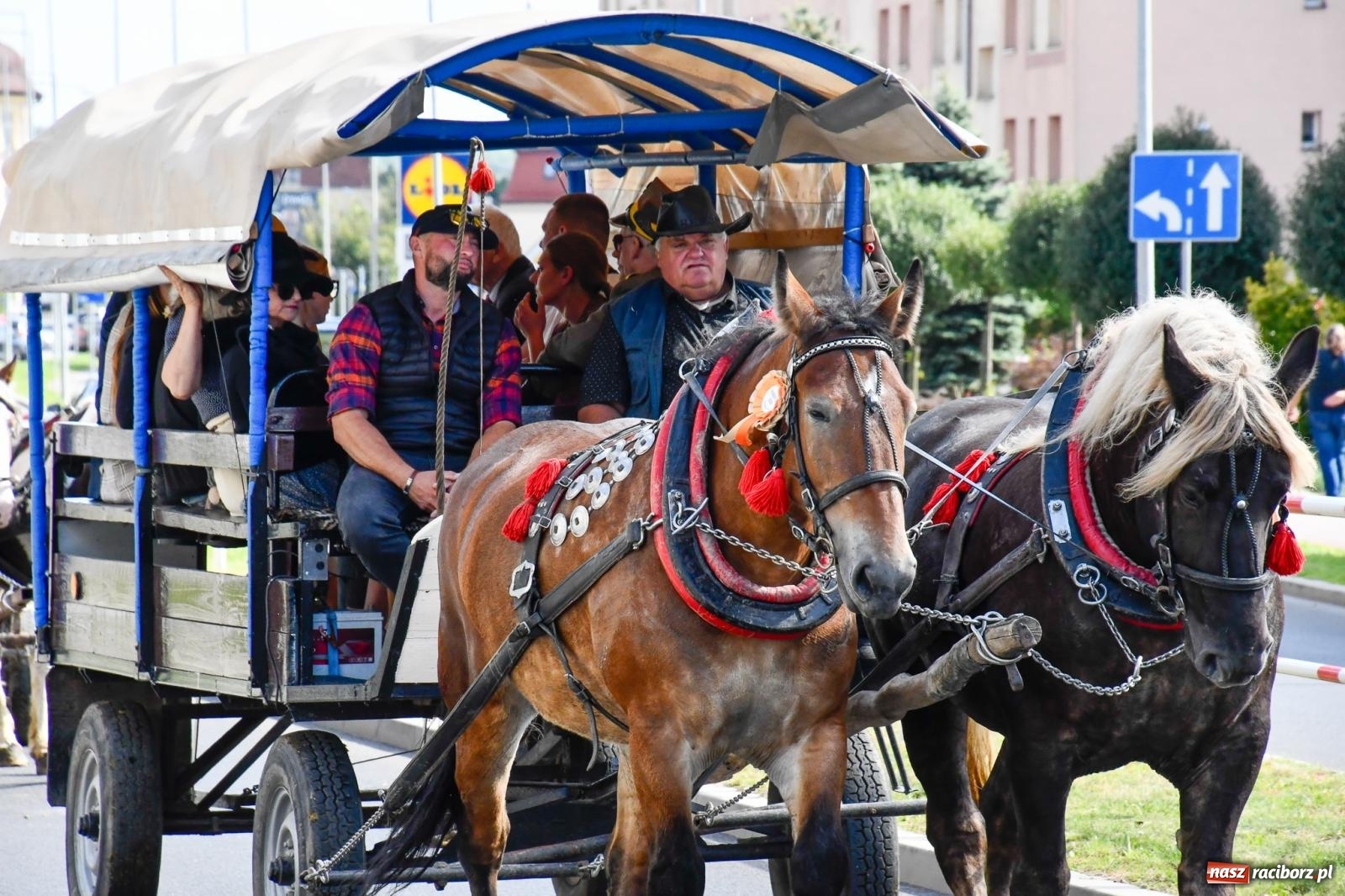 Zdjęcie w galerii na portalu naszraciborz.pl: Hubertus na Ostrogu. Konna parada przeszła ulicami Raciborza [FOTO i WIDEO] wiadomości z regionu