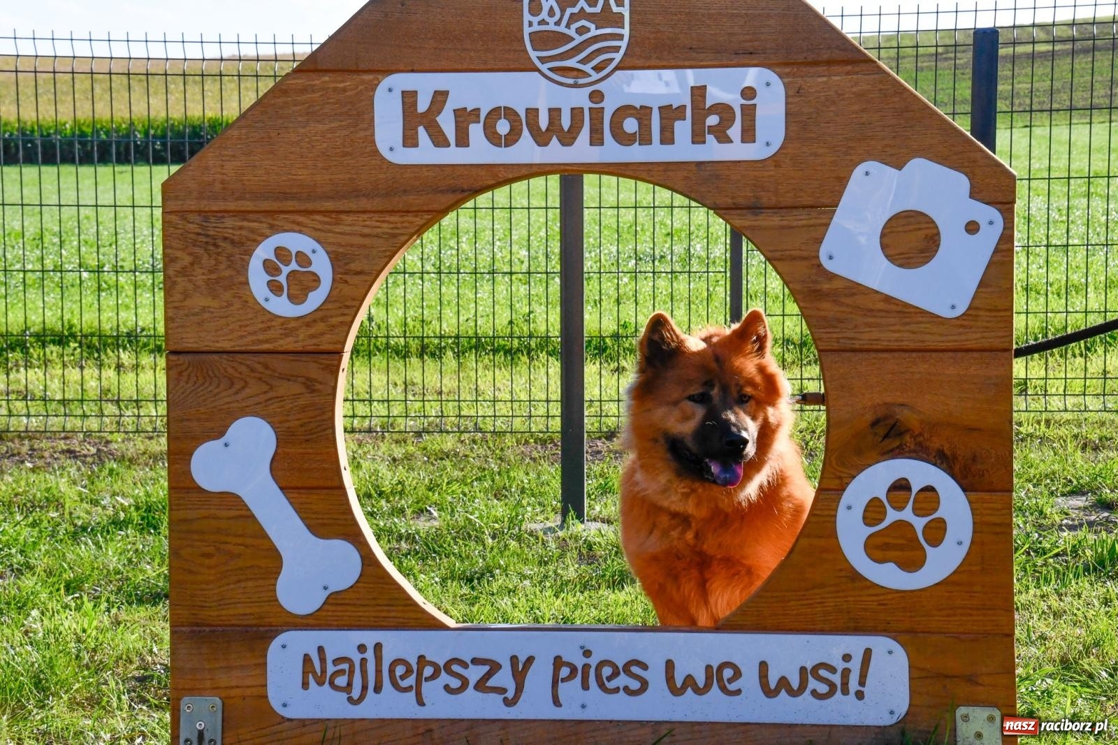 Zdjęcie w galerii na portalu naszraciborz.pl: Krowiarki z nową przestrzenią rekreacyjną. Powstał padok, plac dla psów i wiata wiadomości z regionu