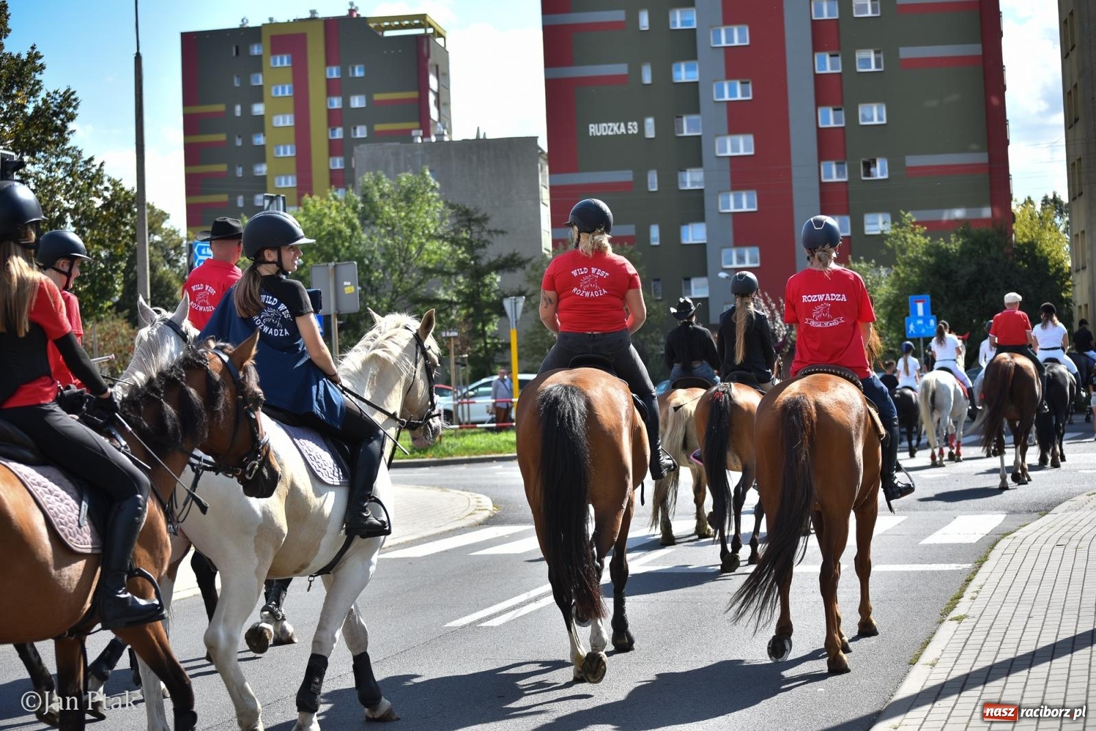Zdjęcie w galerii na portalu naszraciborz.pl: Pogoń za lisem na Ostrogu. Tym razem kitę złapali Maria Szczyrba i Kacper Bizon wiadomości z regionu