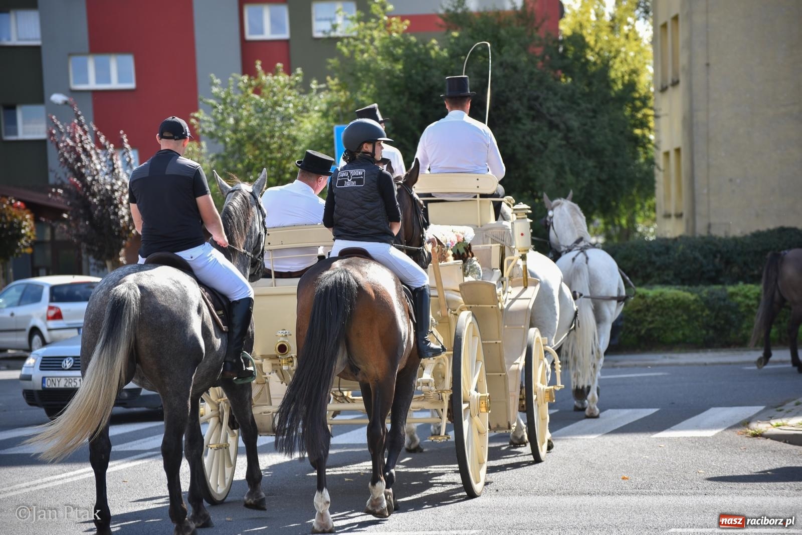 Zdjęcie w galerii na portalu naszraciborz.pl: Pogoń za lisem na Ostrogu. Tym razem kitę złapali Maria Szczyrba i Kacper Bizon wiadomości z regionu