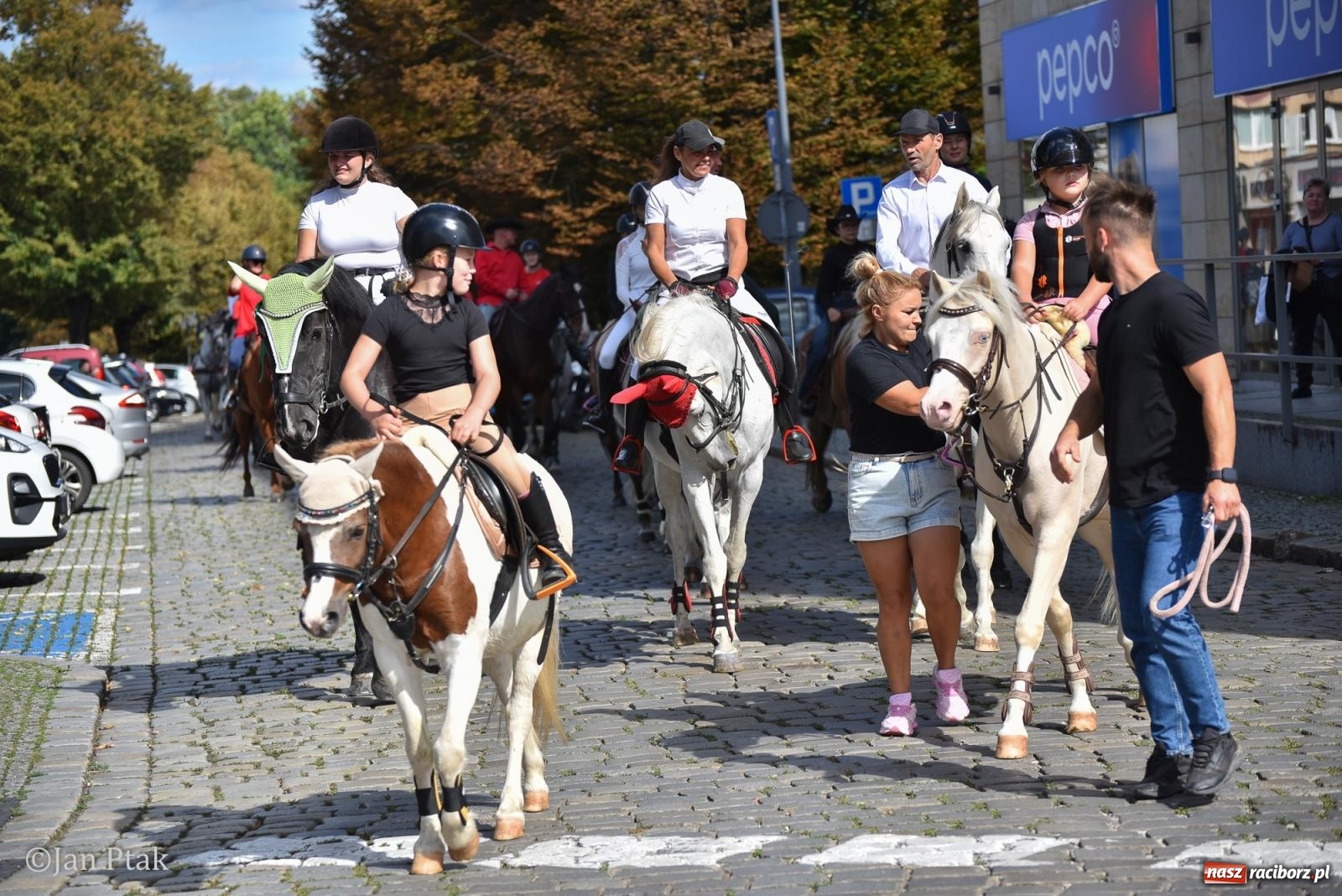 Zdjęcie w galerii na portalu naszraciborz.pl: Pogoń za lisem na Ostrogu. Tym razem kitę złapali Maria Szczyrba i Kacper Bizon wiadomości z regionu