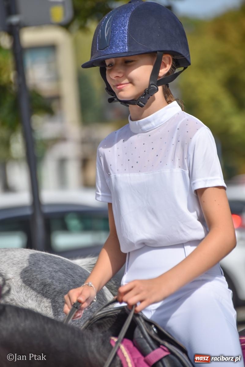 Zdjęcie w galerii na portalu naszraciborz.pl: Pogoń za lisem na Ostrogu. Tym razem kitę złapali Maria Szczyrba i Kacper Bizon wiadomości z regionu