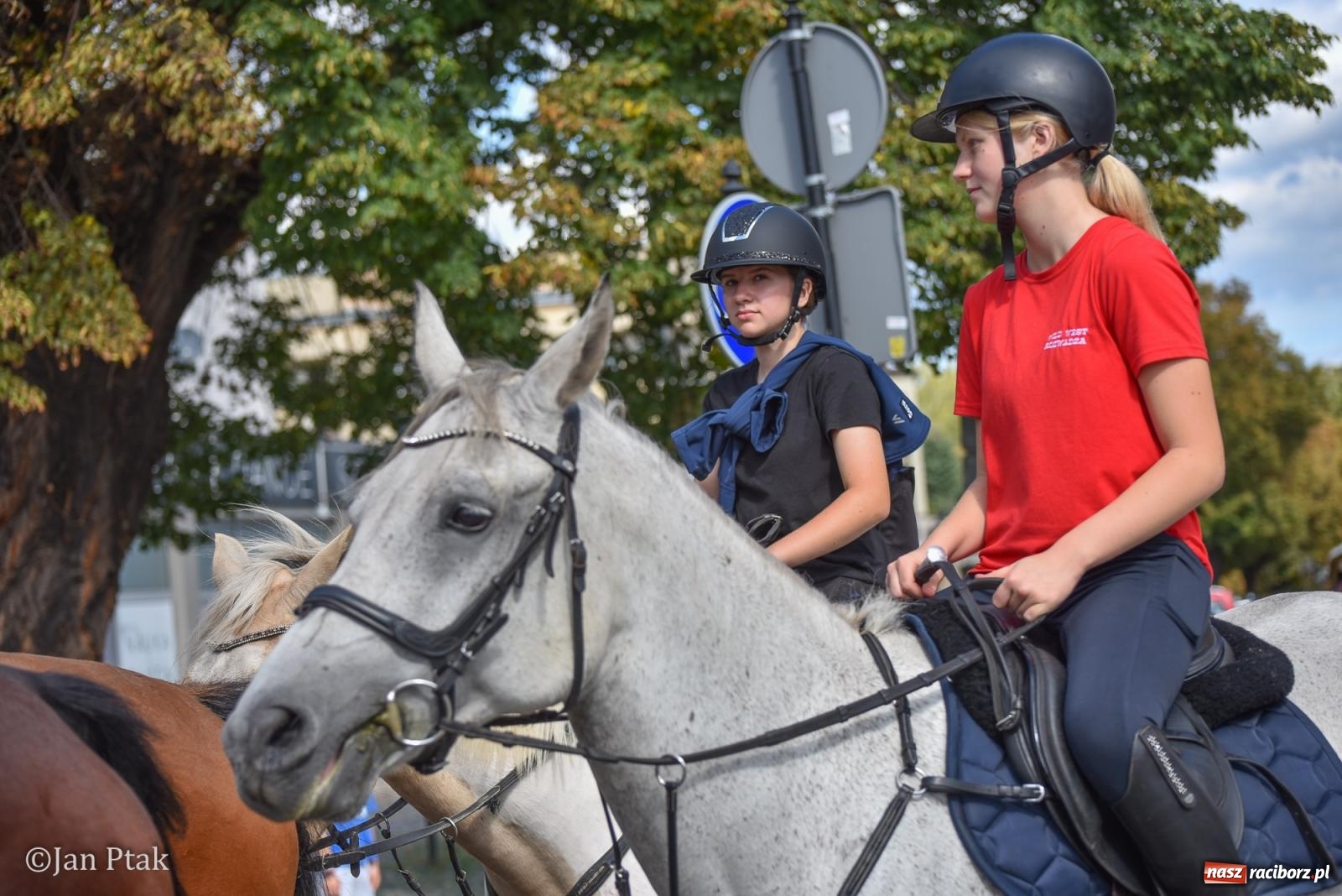 Zdjęcie w galerii na portalu naszraciborz.pl: Pogoń za lisem na Ostrogu. Tym razem kitę złapali Maria Szczyrba i Kacper Bizon wiadomości z regionu