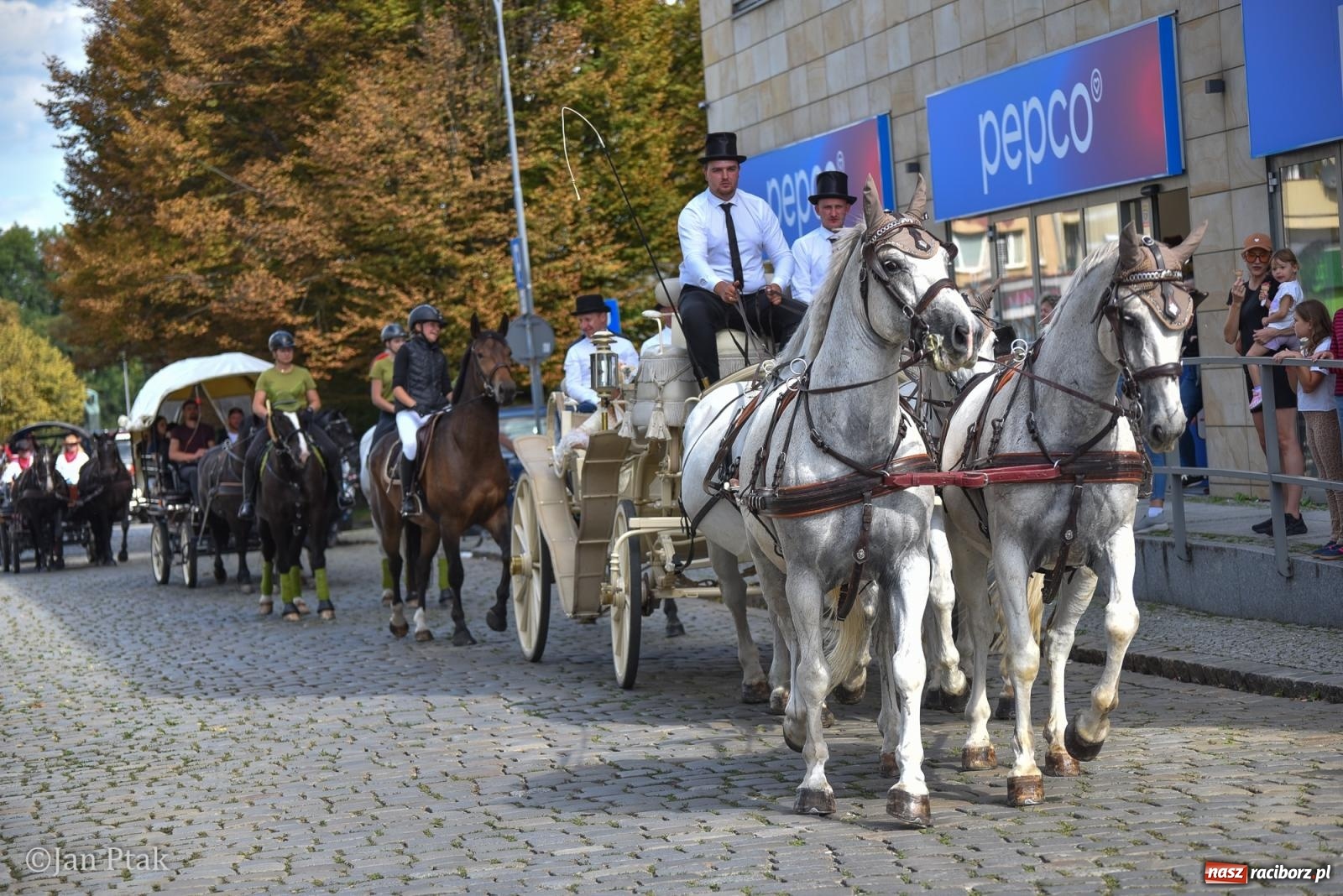 Zdjęcie w galerii na portalu naszraciborz.pl: Pogoń za lisem na Ostrogu. Tym razem kitę złapali Maria Szczyrba i Kacper Bizon wiadomości z regionu