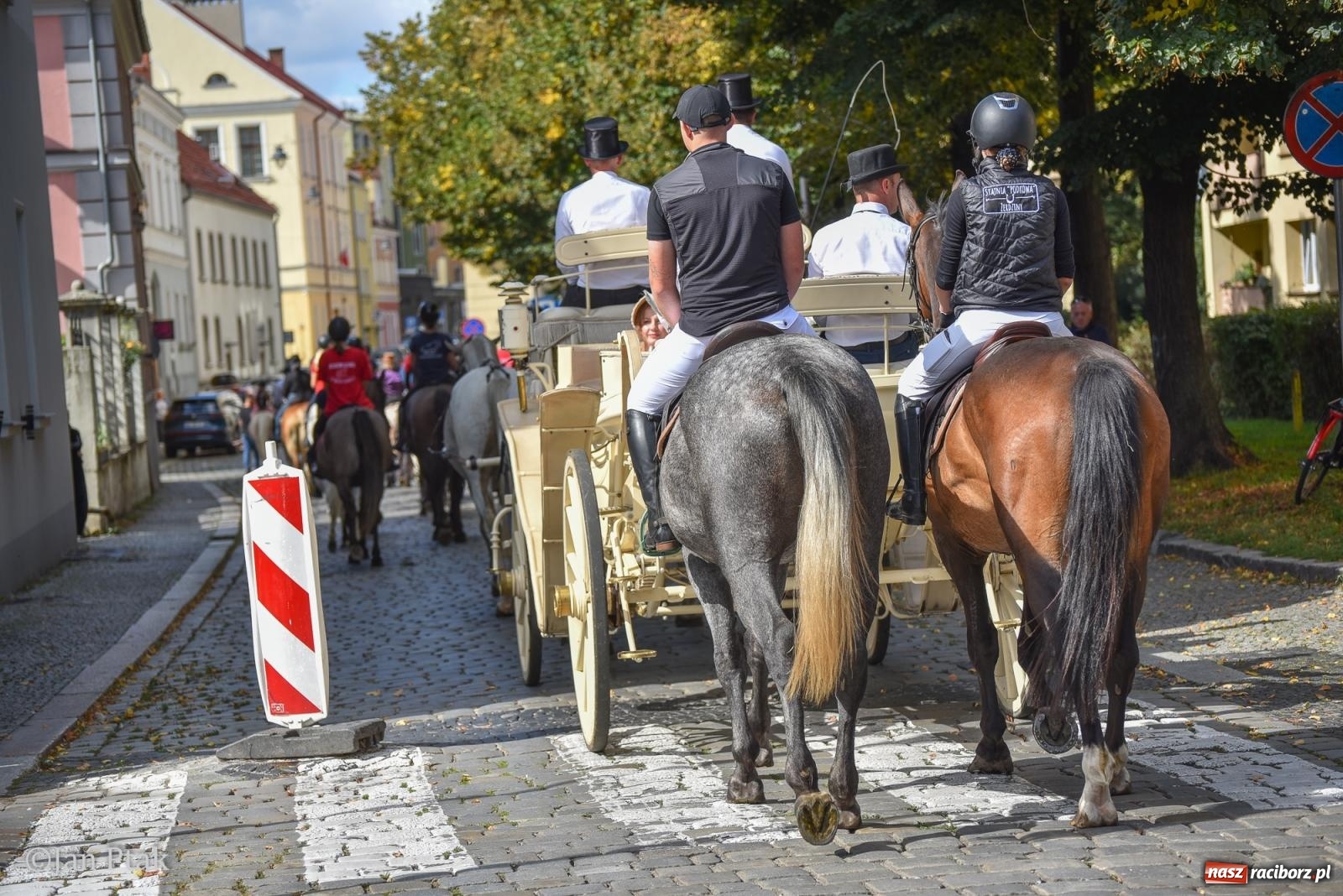 Zdjęcie w galerii na portalu naszraciborz.pl: Pogoń za lisem na Ostrogu. Tym razem kitę złapali Maria Szczyrba i Kacper Bizon wiadomości z regionu