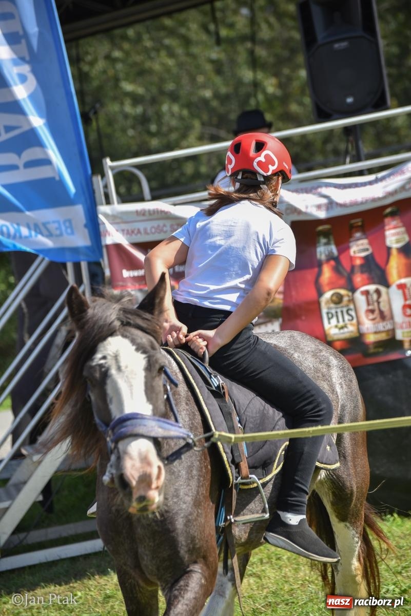 Zdjęcie w galerii na portalu naszraciborz.pl: Pogoń za lisem na Ostrogu. Tym razem kitę złapali Maria Szczyrba i Kacper Bizon wiadomości z regionu