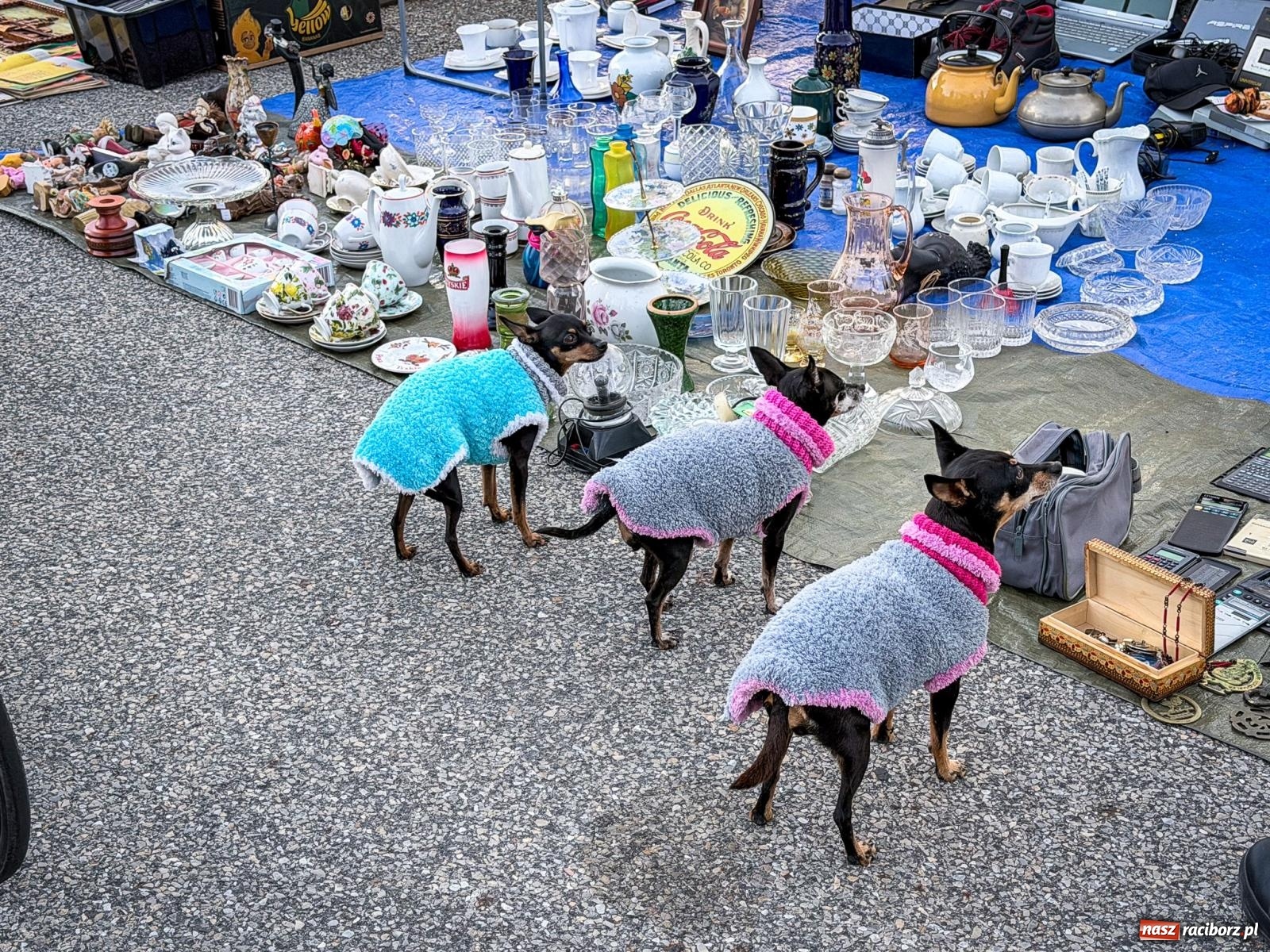 Zdjęcie w galerii na portalu naszraciborz.pl: Jarmark na granicy w Chałupkach. Sprzedawcy zjechali z całego regionu [FOTO i WIDEO] wiadomości z regionu