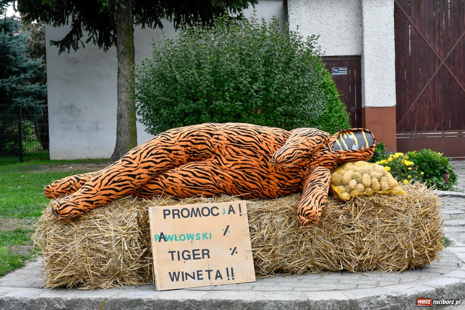 Zdjęcie w galerii na portalu naszraciborz.pl: Korowód w Pawłowie zamknął sezon dożynkowy [FOTO i WIDEO] wiadomości z regionu