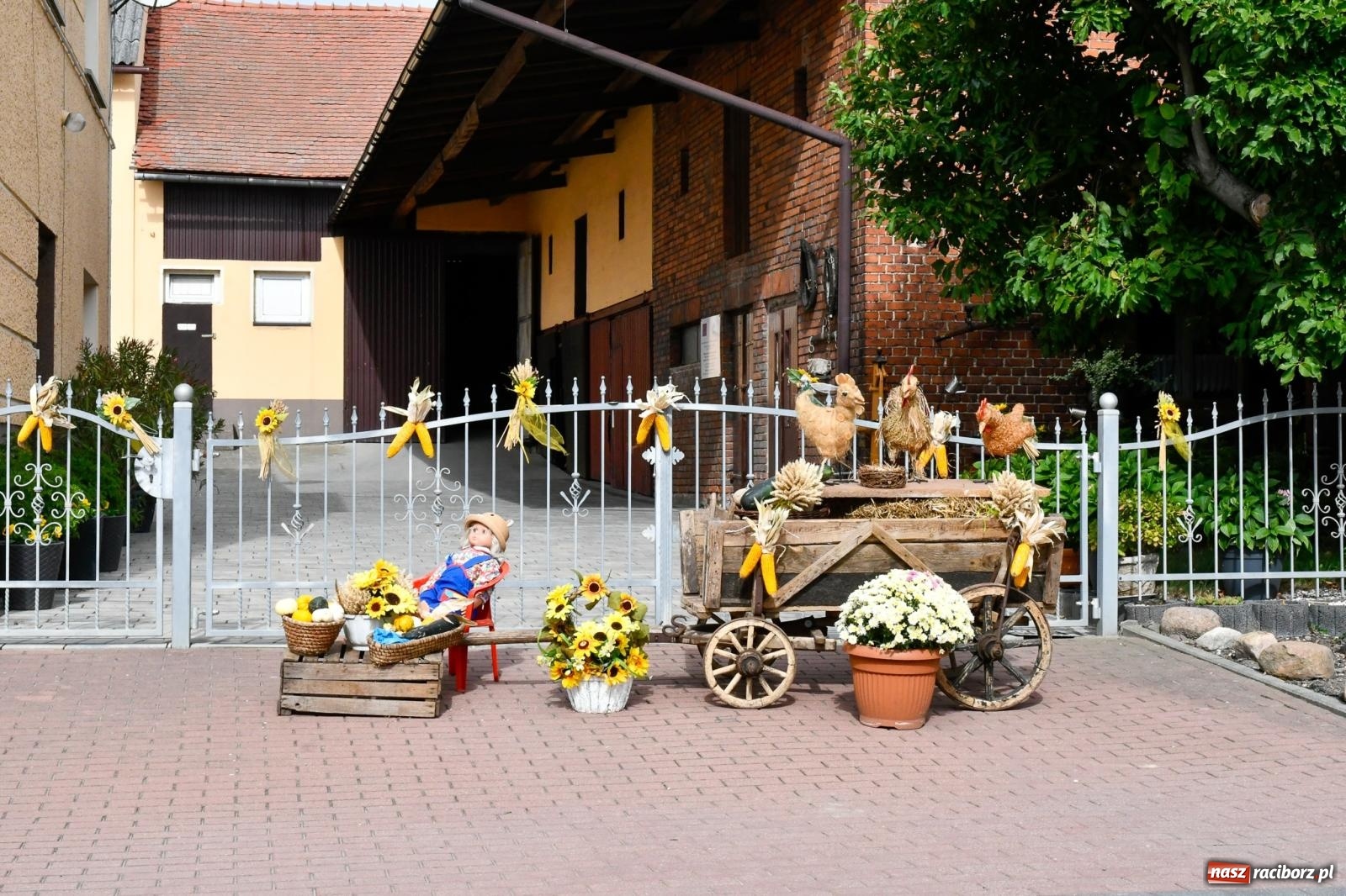 Zdjęcie w galerii na portalu naszraciborz.pl: Korowód w Pawłowie zamknął sezon dożynkowy [FOTO i WIDEO] wiadomości z regionu