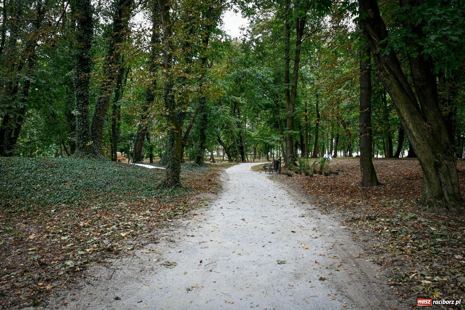 Zdjęcie w galerii na portalu naszraciborz.pl: Sławików: park przy pałacu Eickstedtów odzyskuje dawny blask [FOTO i WIDEO] wiadomości z regionu
