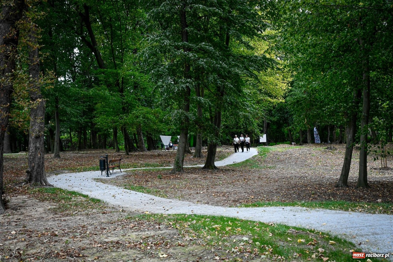 Zdjęcie w galerii na portalu naszraciborz.pl: Sławików: park przy pałacu Eickstedtów odzyskuje dawny blask [FOTO i WIDEO] wiadomości z regionu