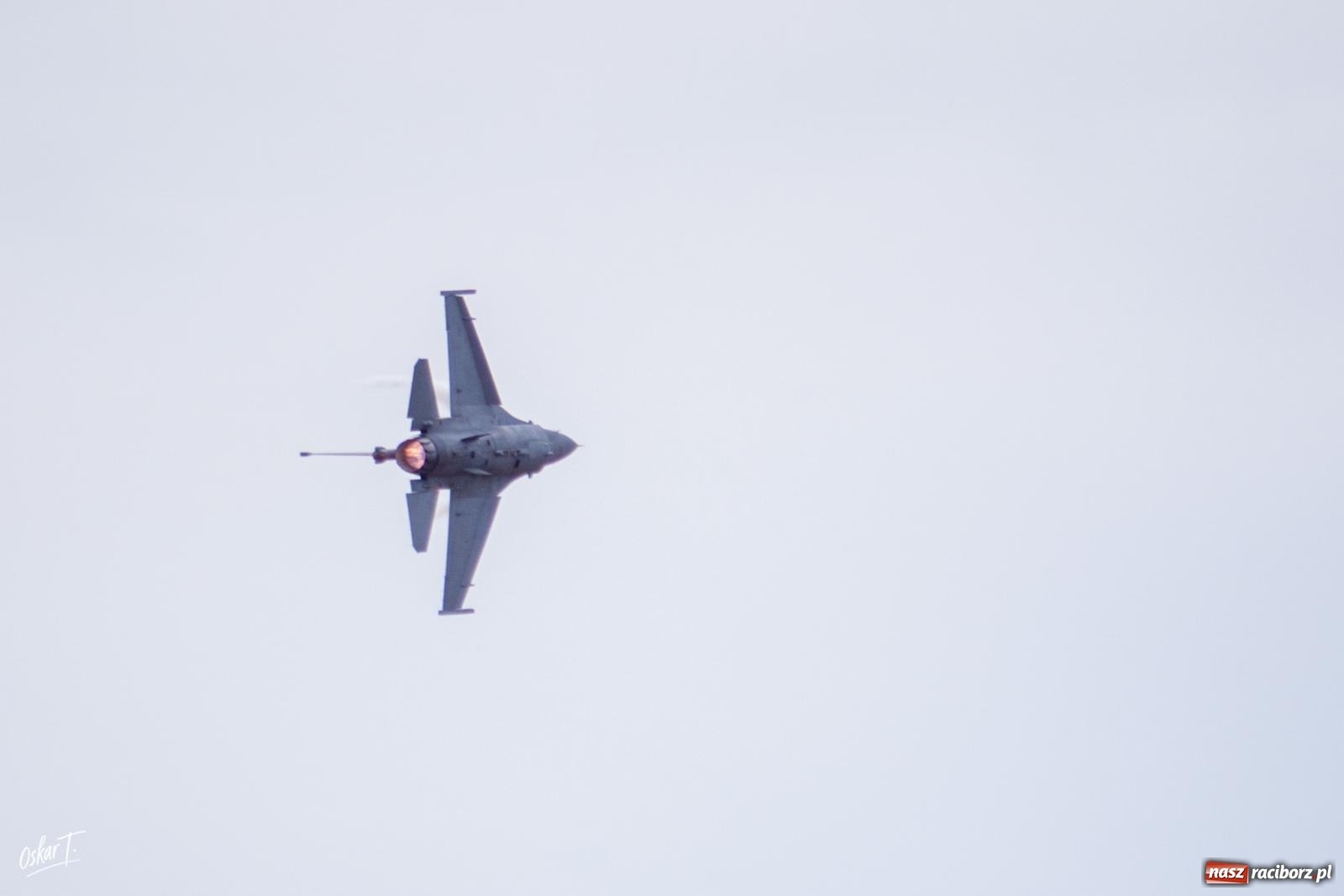 Zdjęcie w galerii na portalu naszraciborz.pl: Rekordowe 150 tysięcy widzów na Dniach NATO w Ostrawie. Wśród nich wielu mieszkańców ziemi raciborskiej wiadomości z regionu