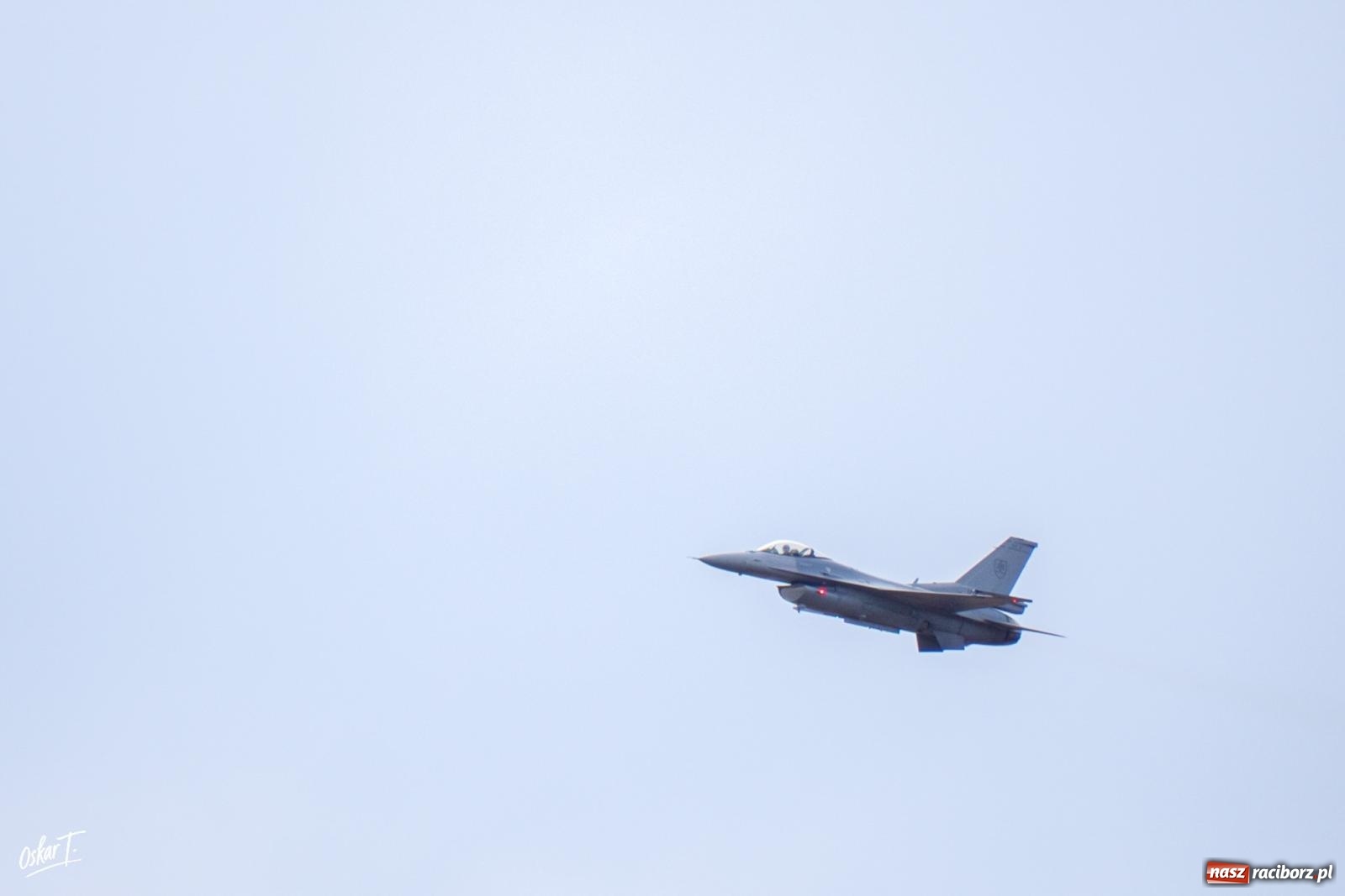 Zdjęcie w galerii na portalu naszraciborz.pl: Rekordowe 150 tysięcy widzów na Dniach NATO w Ostrawie. Wśród nich wielu mieszkańców ziemi raciborskiej wiadomości z regionu