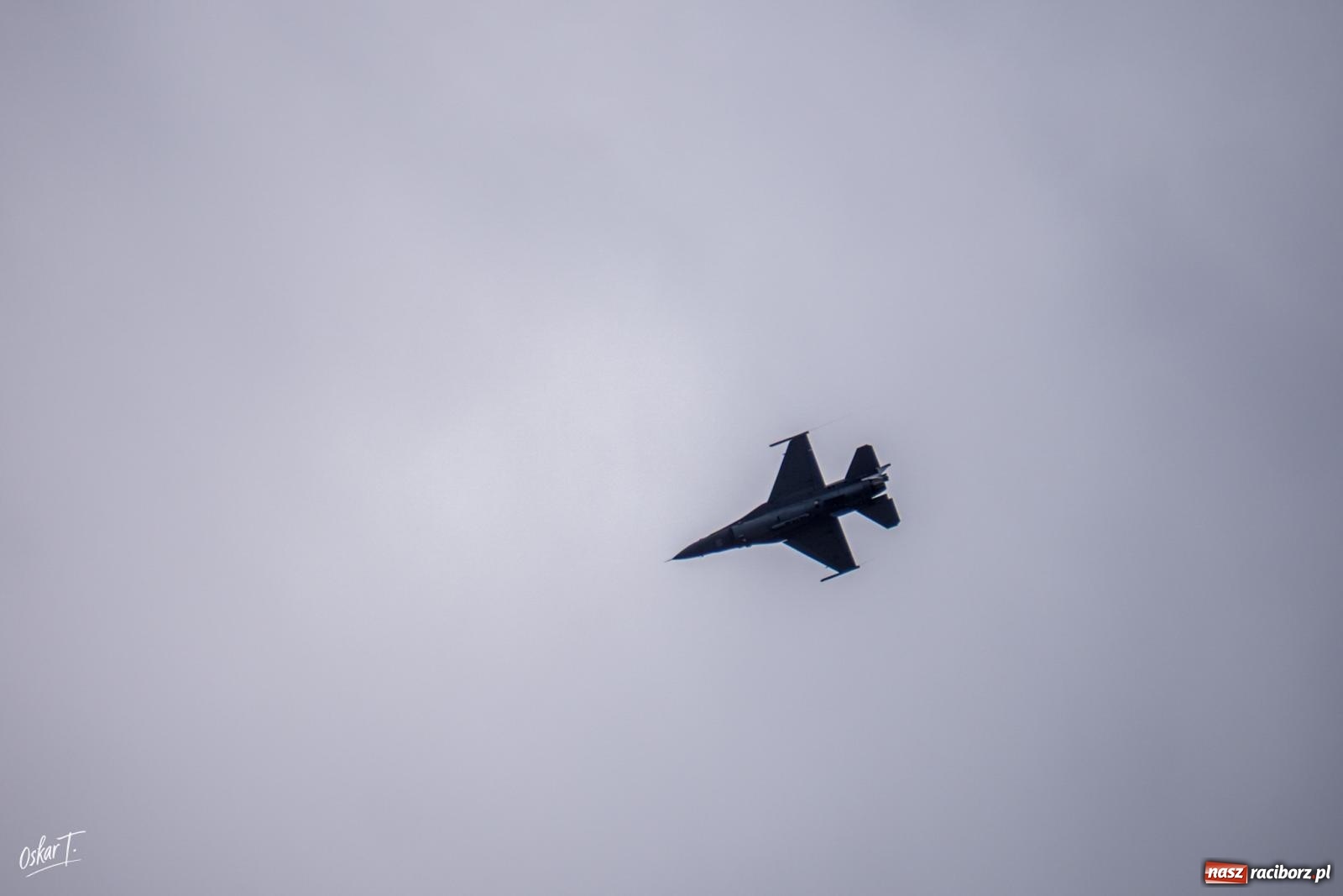Zdjęcie w galerii na portalu naszraciborz.pl: Rekordowe 150 tysięcy widzów na Dniach NATO w Ostrawie. Wśród nich wielu mieszkańców ziemi raciborskiej wiadomości z regionu
