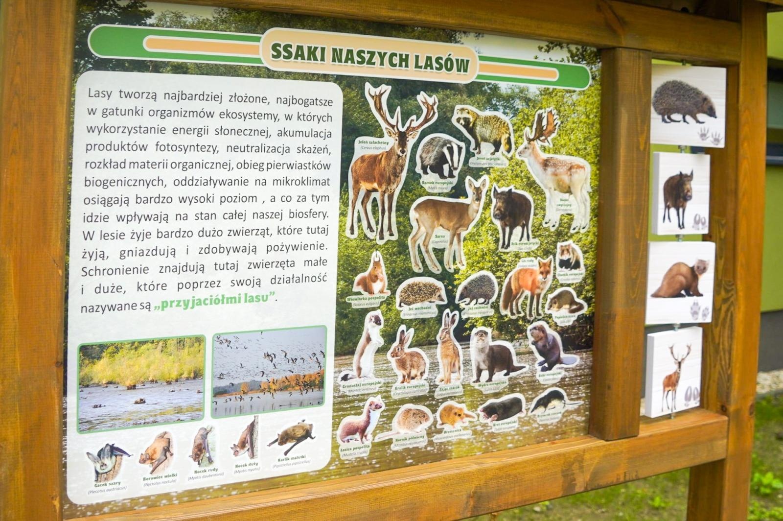 Zdjęcie w galerii na portalu naszraciborz.pl: Nowa ekopracownia pod chmurką przy raciborskiej szkole wiadomości z regionu