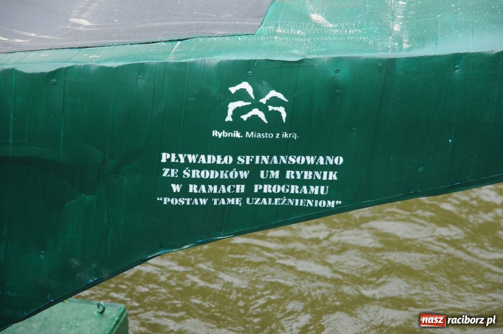 Zdjęcie w galerii na portalu naszraciborz.pl: Pływadła poszły z nurtem wiadomości z regionu