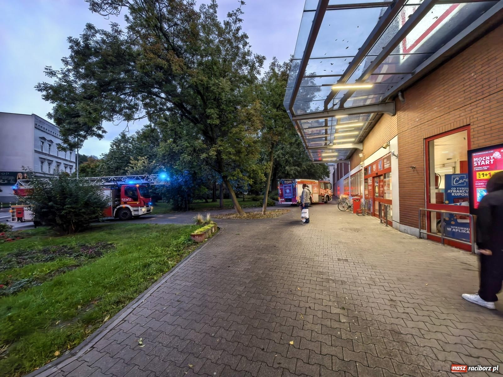 Zdjęcie w galerii na portalu naszraciborz.pl: Siedem interwencji straży pożarnej w powiecie raciborskim. Kolizje, plama oleju i pożar drzewa [FOTO] wiadomości z regionu