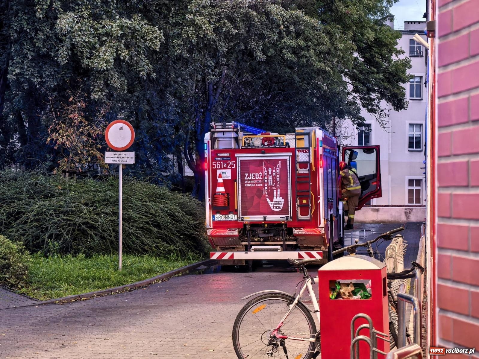 Zdjęcie w galerii na portalu naszraciborz.pl: Siedem interwencji straży pożarnej w powiecie raciborskim. Kolizje, plama oleju i pożar drzewa [FOTO] wiadomości z regionu