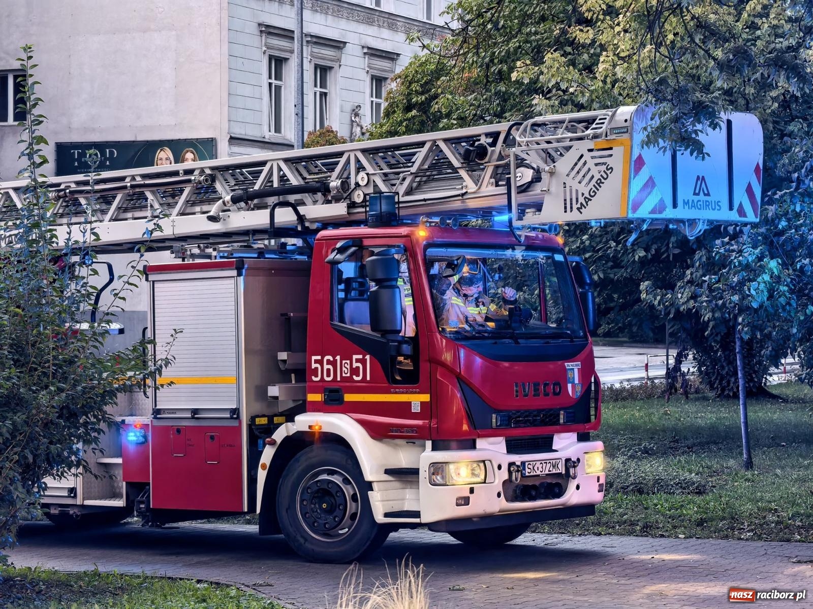 Zdjęcie w galerii na portalu naszraciborz.pl: Siedem interwencji straży pożarnej w powiecie raciborskim. Kolizje, plama oleju i pożar drzewa [FOTO] wiadomości z regionu
